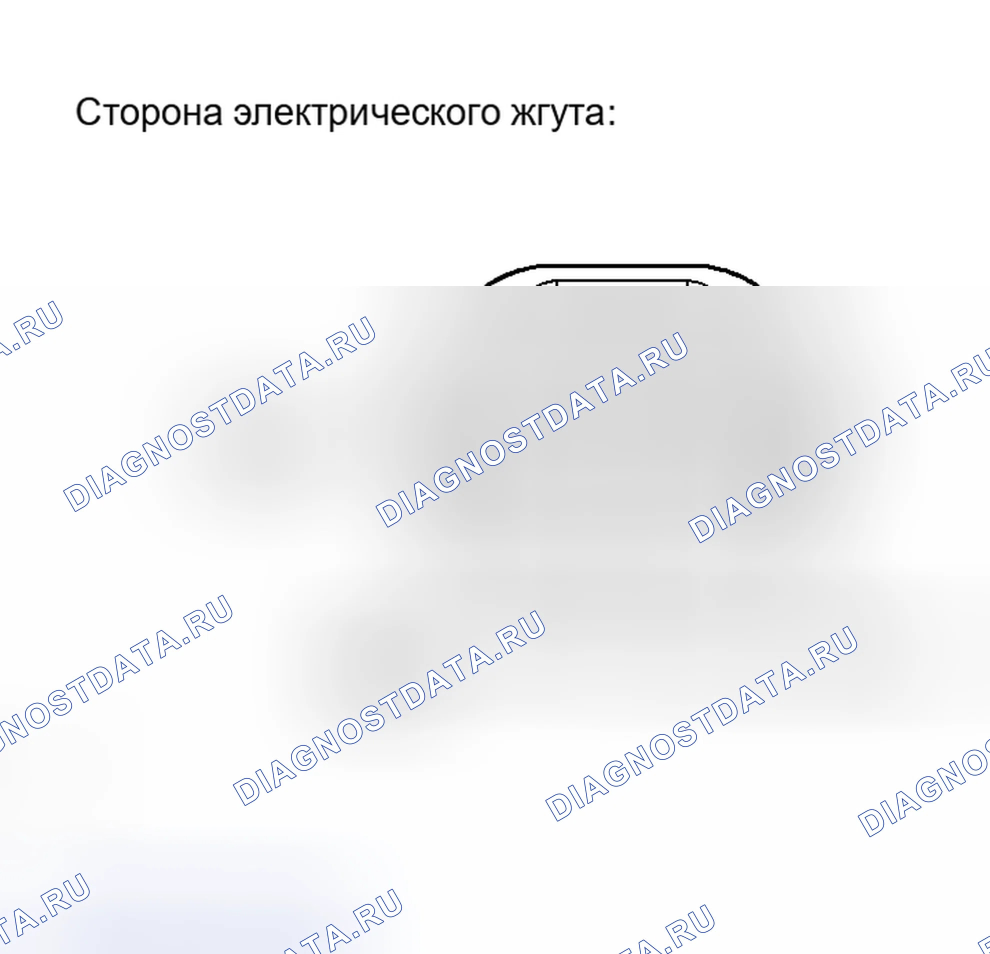 Рис. 242. Haval Xiaolong Max I