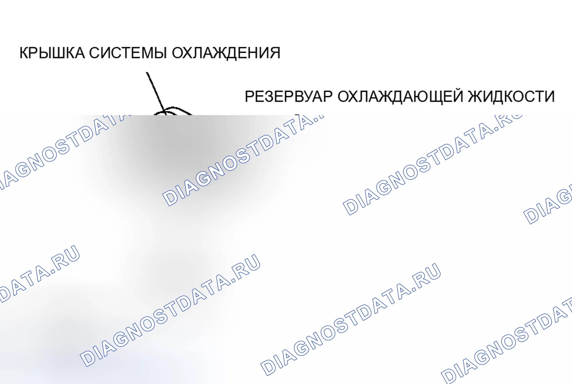 Рис. 7. Honda CR-V III рестайлинг