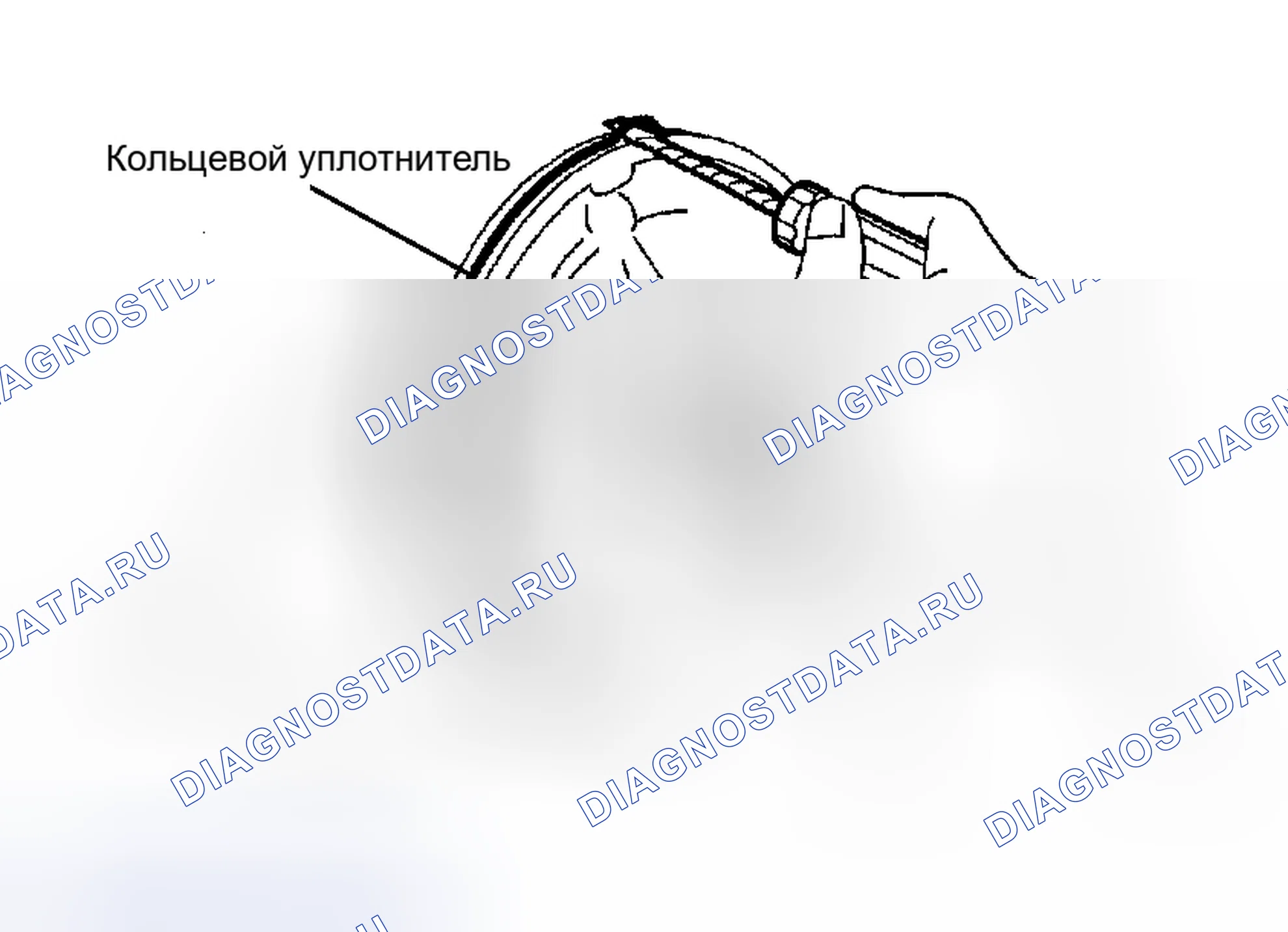 Рис. 365. Toyota Avalon XX30