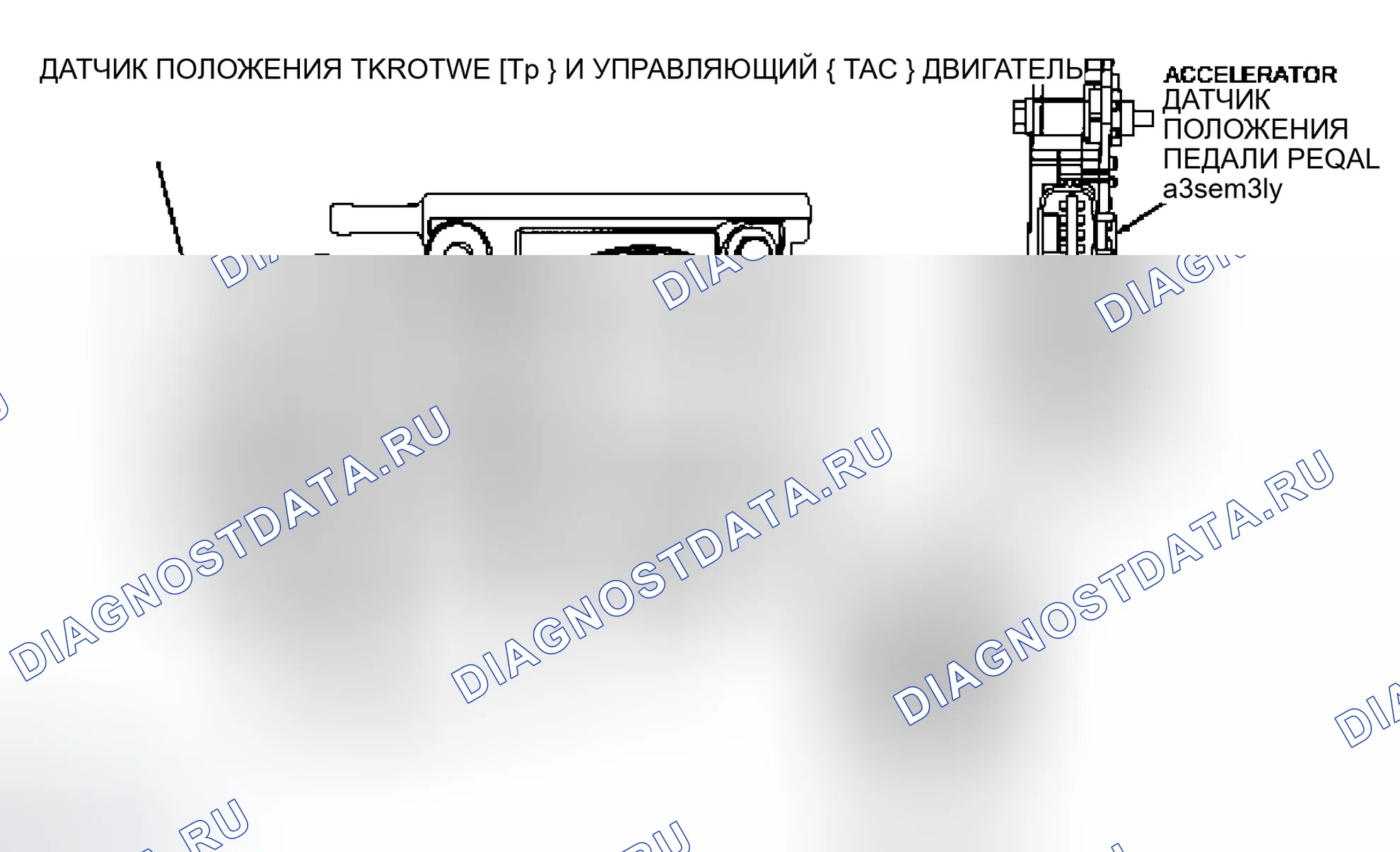 Рис. 189: Датчики положения педали акселератора (APP). Ford Escape I рестайлинг
