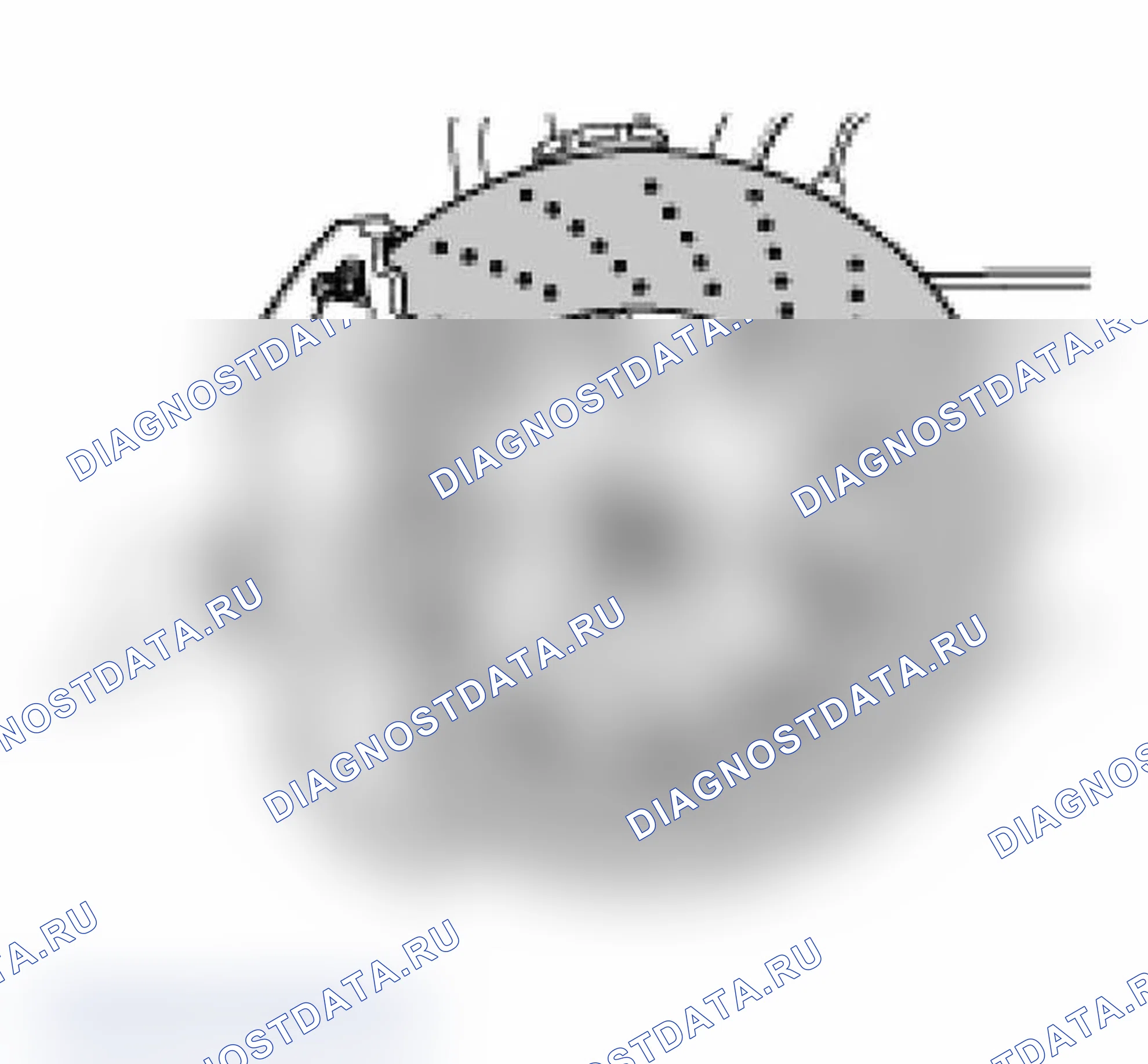 Рис. 14: Установка. Porsche 911 Carrera 996 рестайлинг