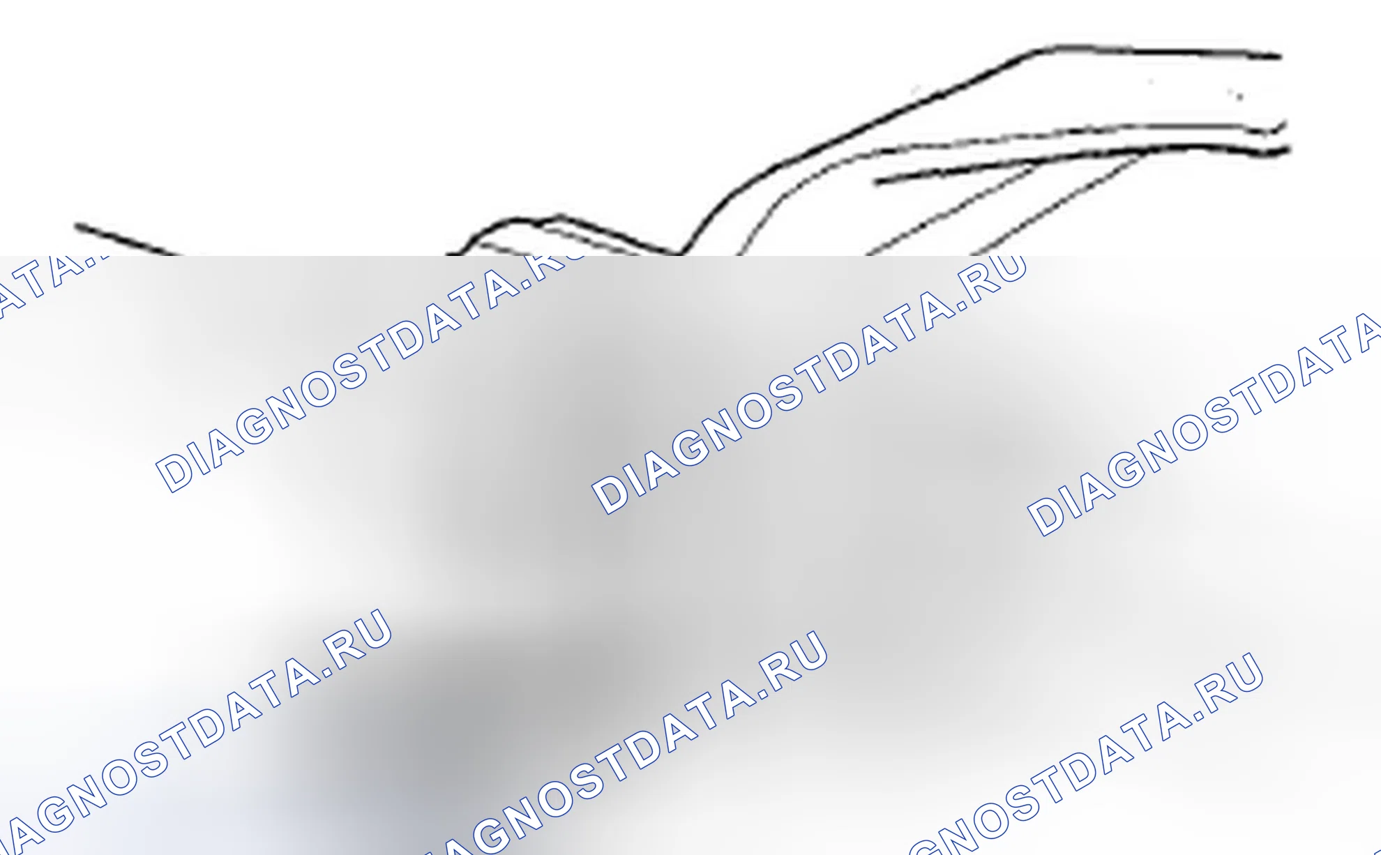 Рис. 246. Acura ZDX I