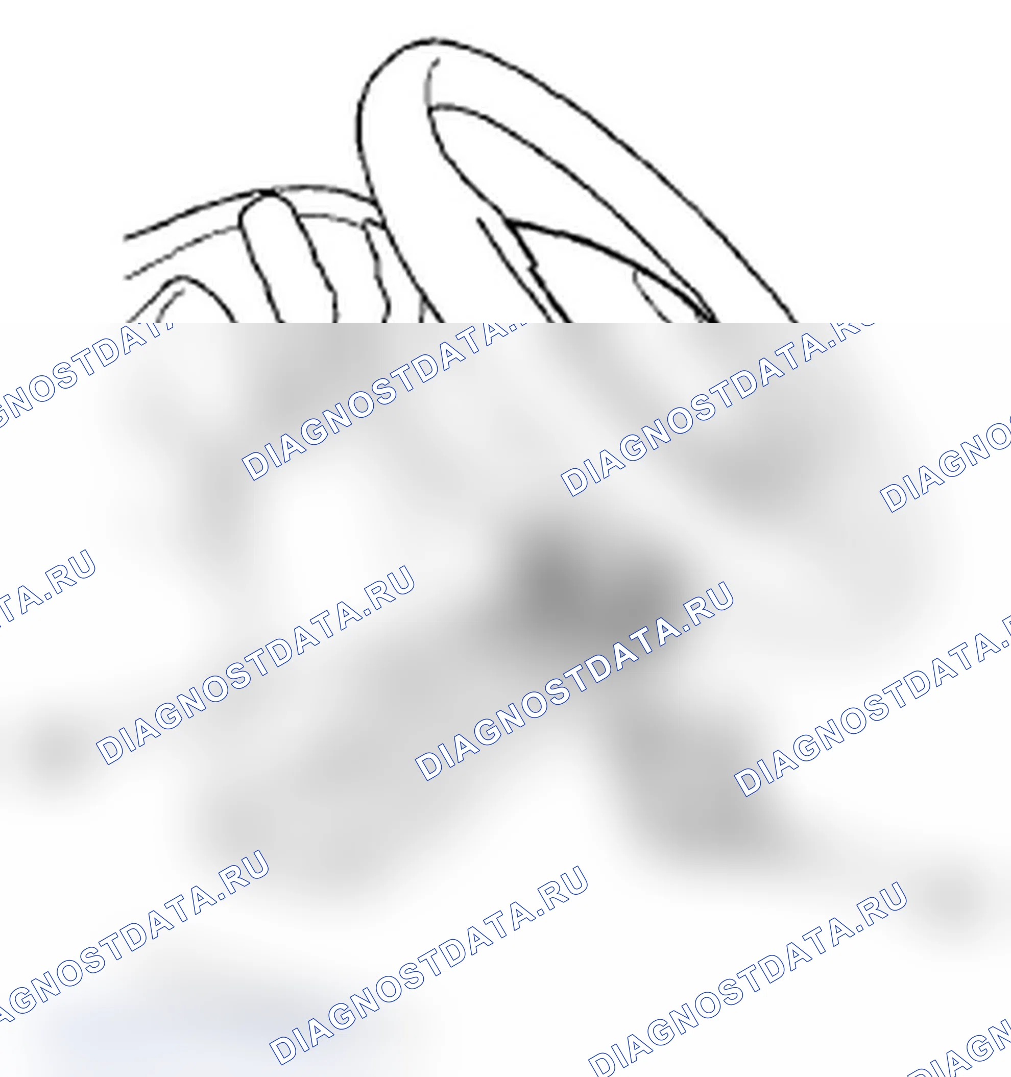 Рис. 203: Подушка безопасности водителя. Acura TL IV