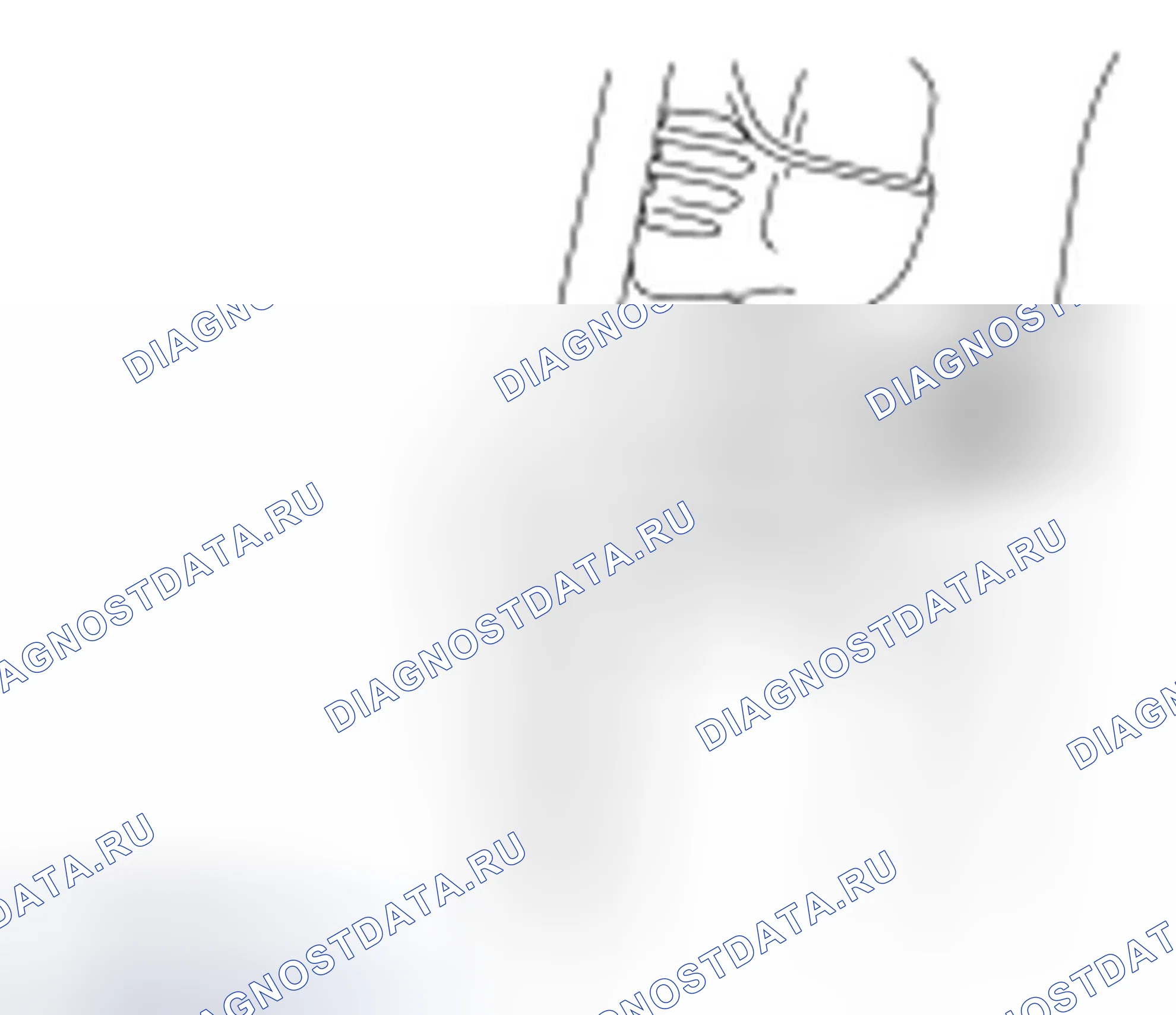 Рис. 12. Ford Ranger II рестайлинг