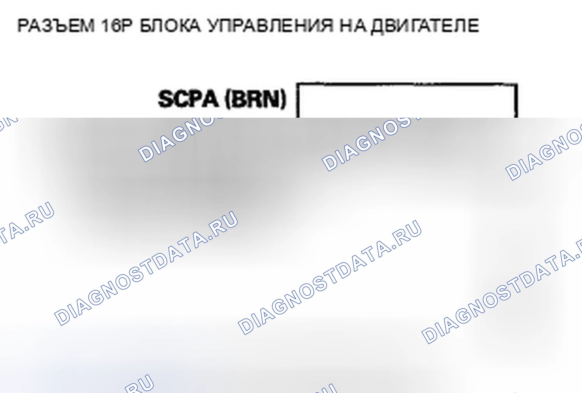 Рис. 25. Honda Accord VIII