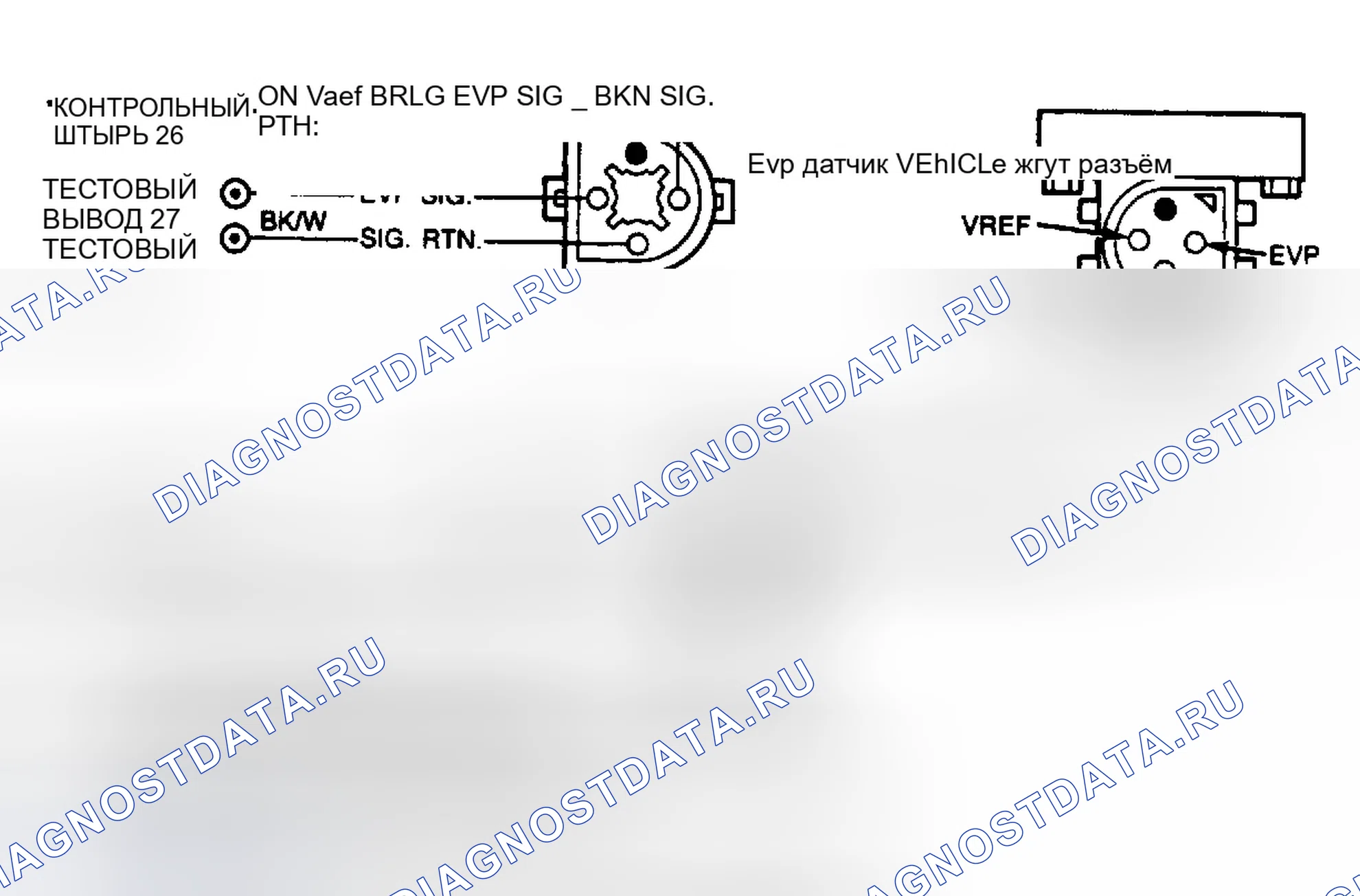 Рис. 36: Цепи электромагнитов EVP, EGRC и EGRV. Ford Econoline E150 
