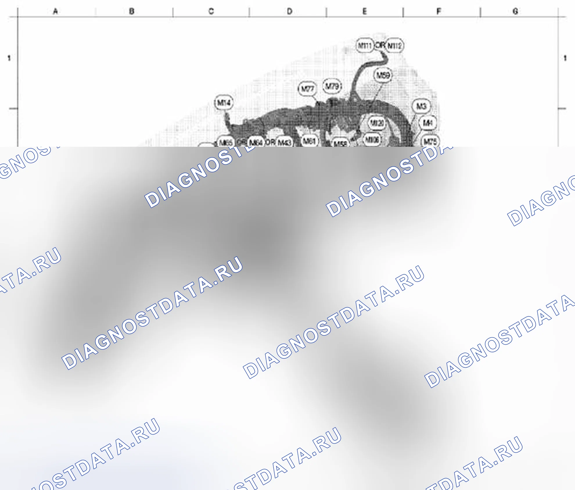 Рис. 10: ГЛАВНЫЙ ЖГУТ. Suzuki Equator I