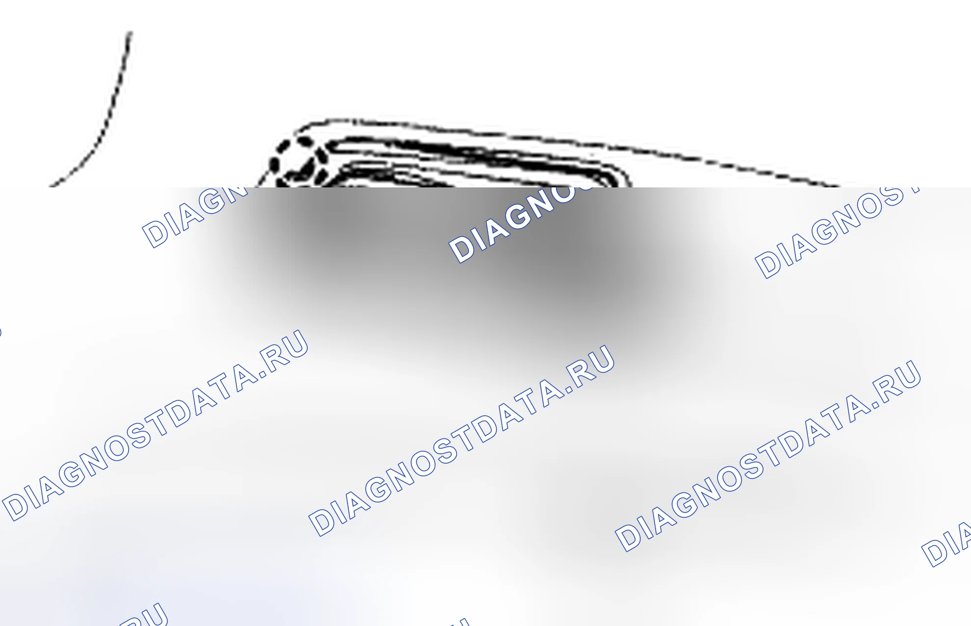 Рис. 56. Toyota Camry XV40