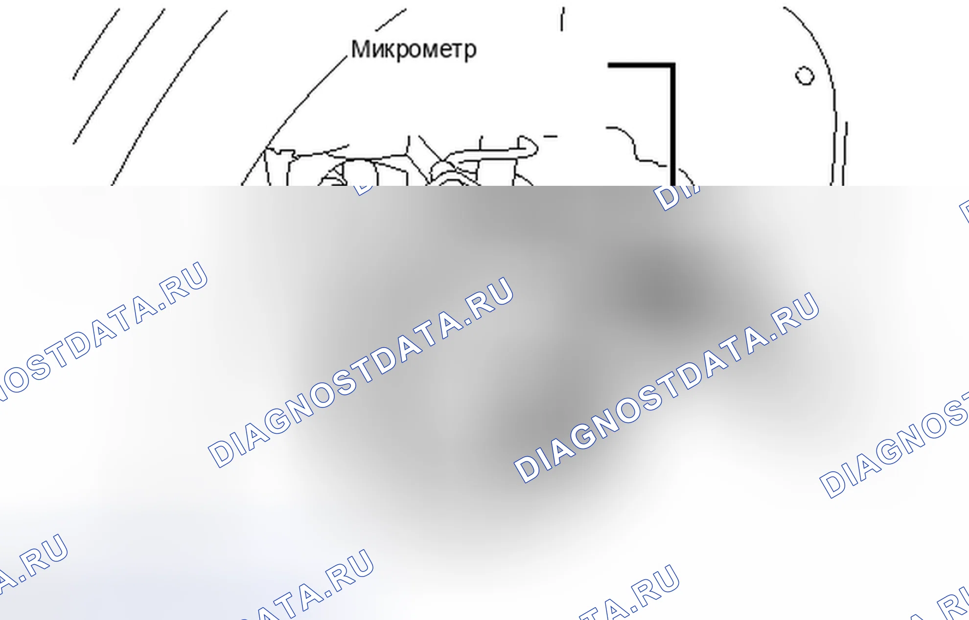 Рис. 80. Lexus IS F I