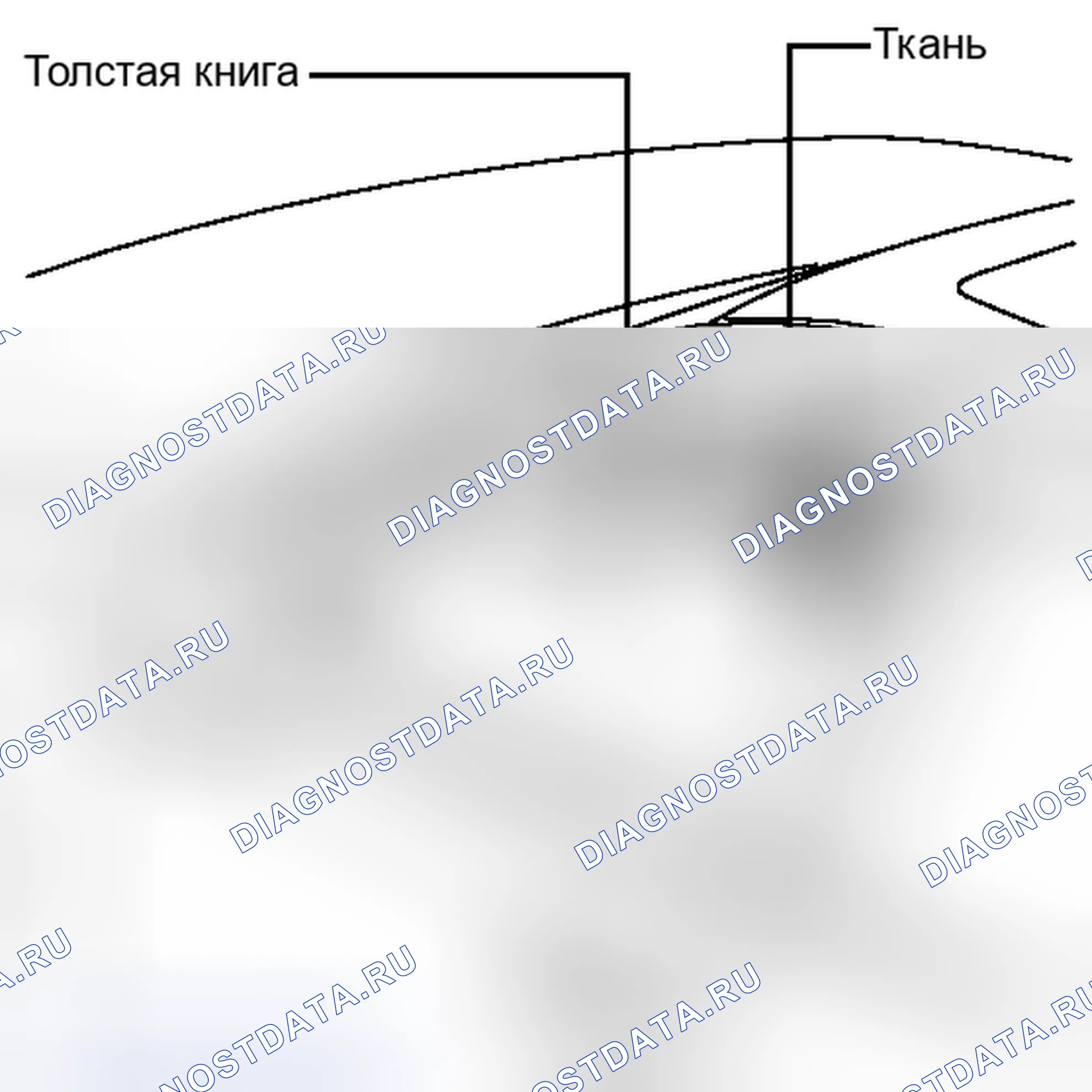 Рис. 2. Lexus IS F I