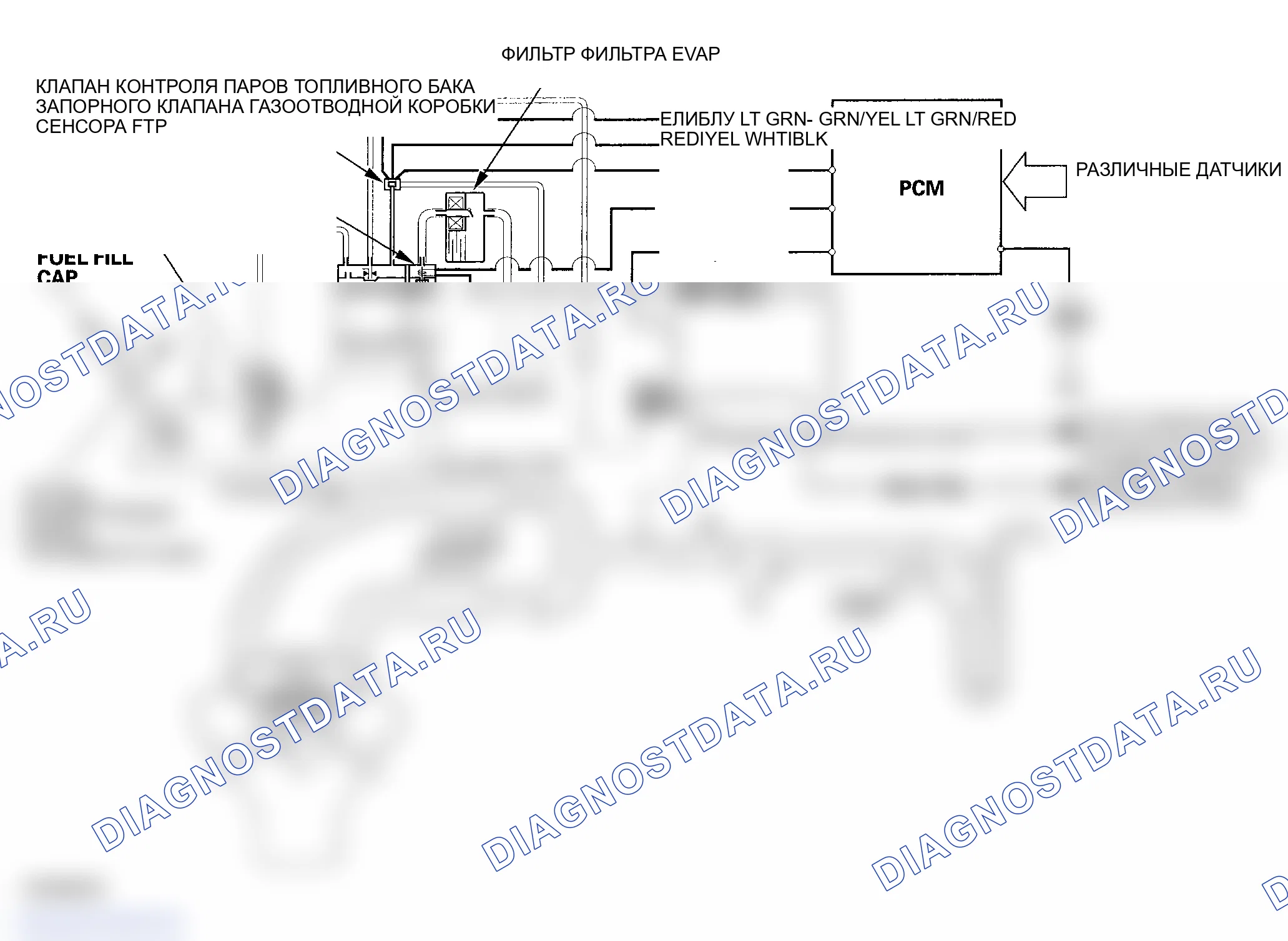 Рис. 42: Схема регулирования выбросов в результате испарения (EVAP). Honda Ridgeline I