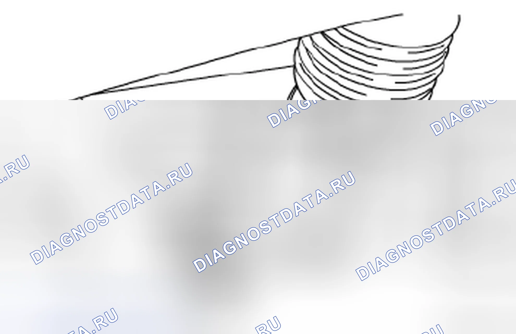 Рис. 10. Suzuki Reno I