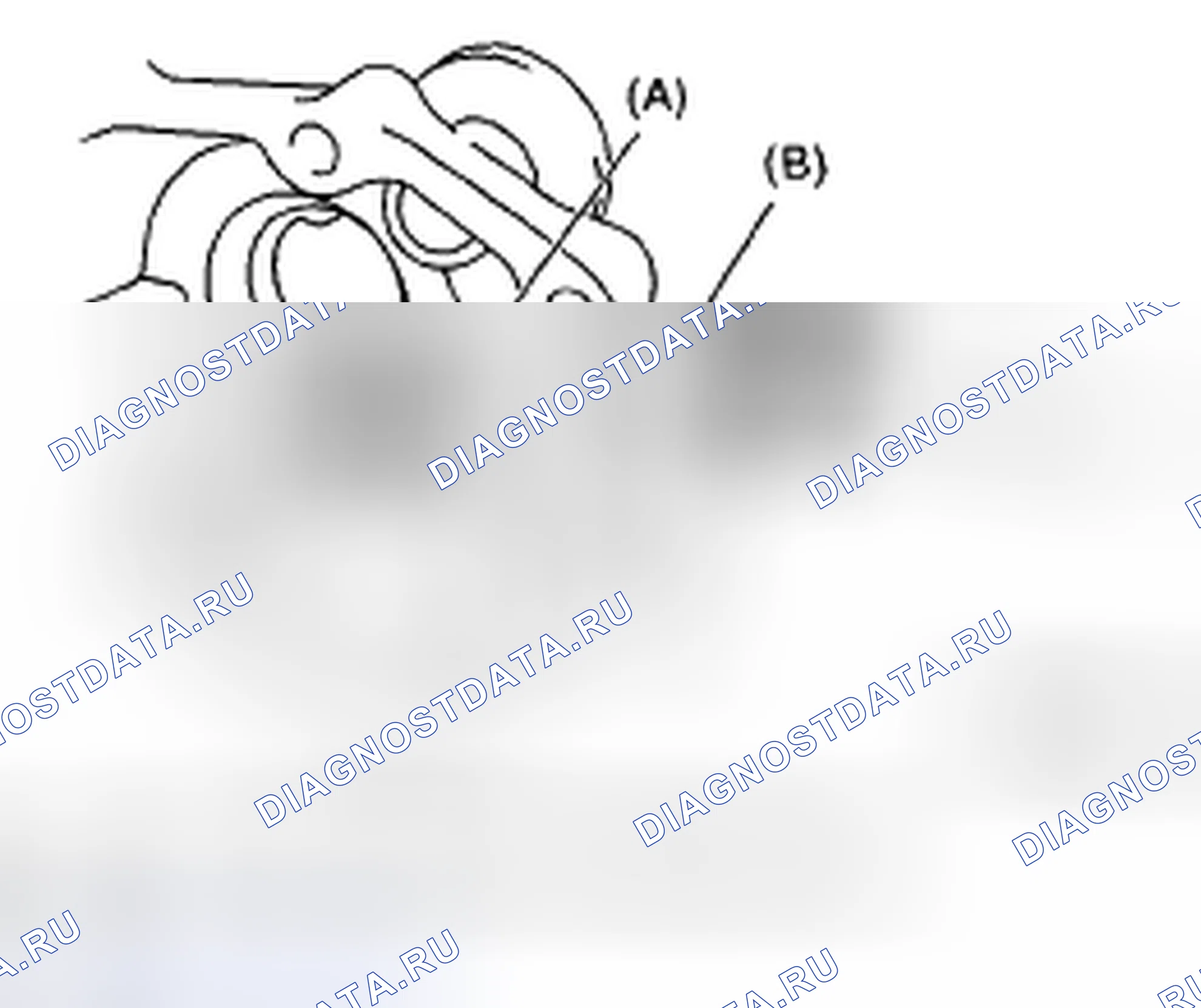 Рис. 249. Subaru Impreza GD/GC/GG рестайлинг 2