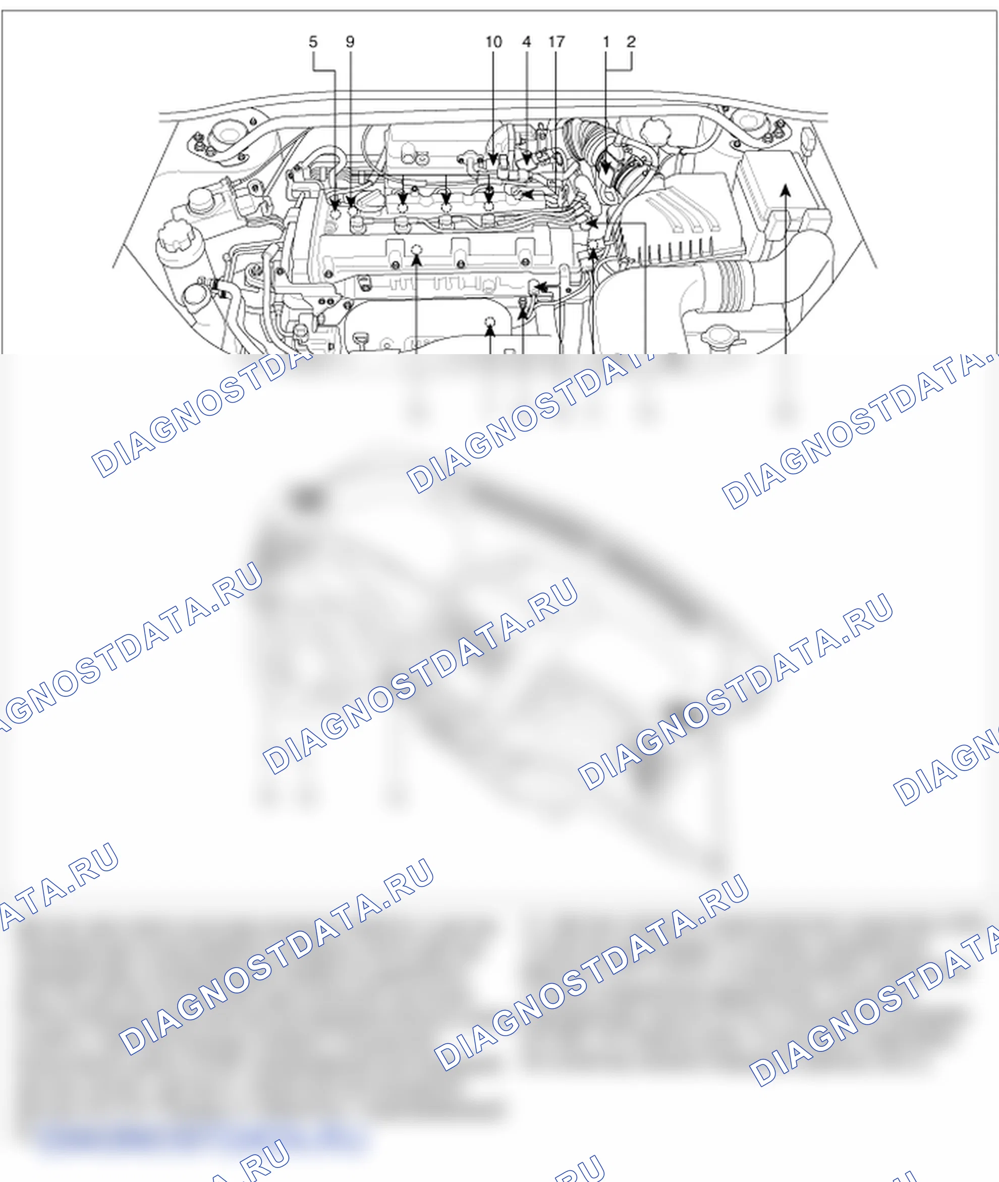 Компоненты и их расположение. Kia Sportage KM