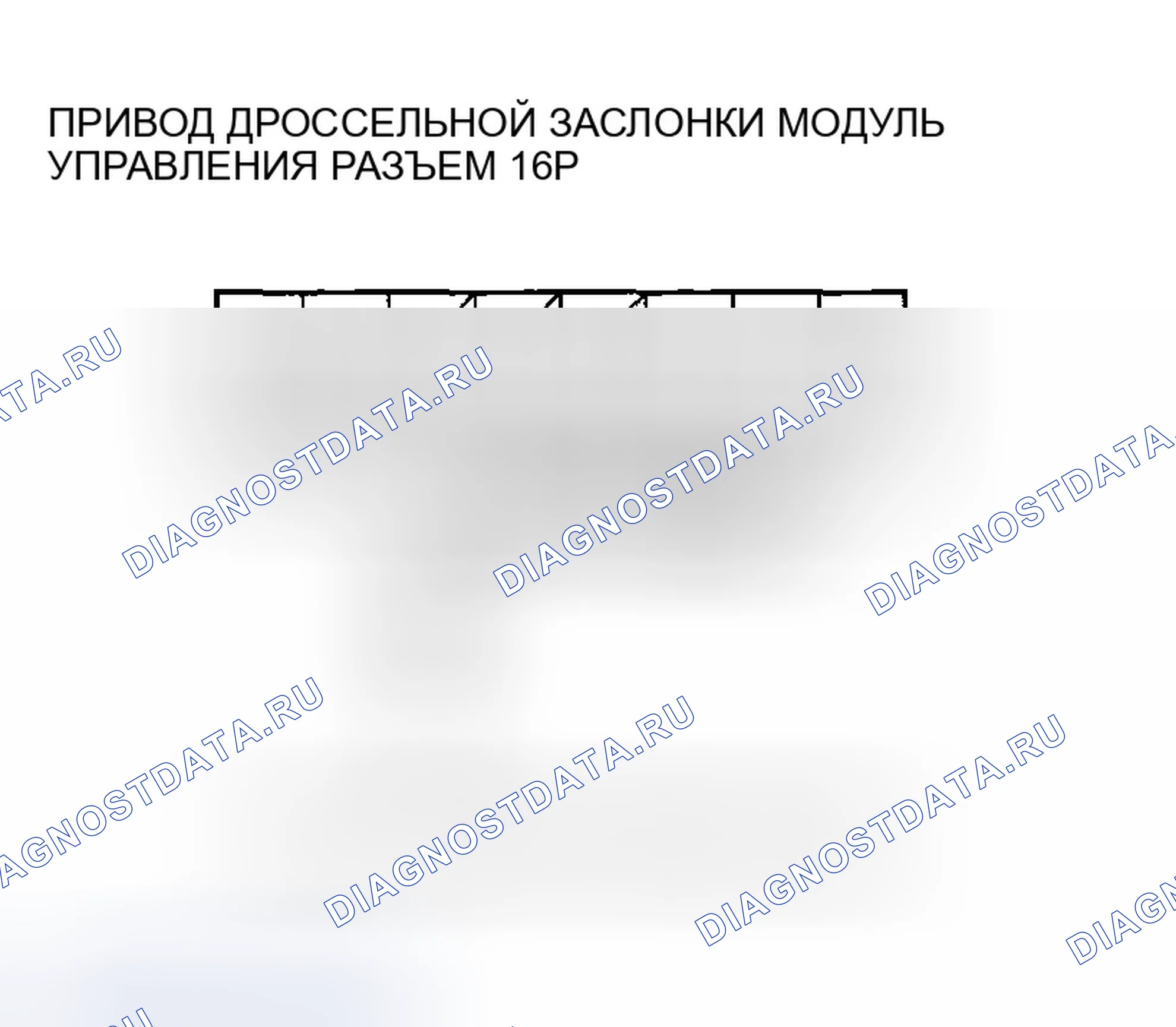 Рис. 214. Honda Accord VII рестайлинг