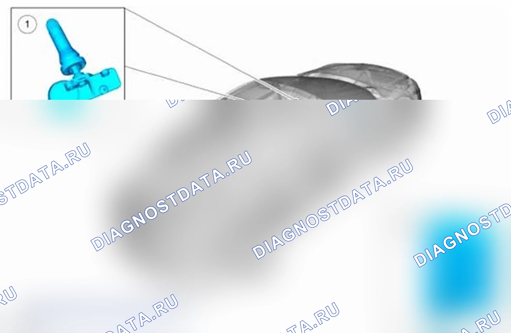 Рис. 14: Система контроля давления в шинах (TPMS) - расположение компонентов. Ford Focus III