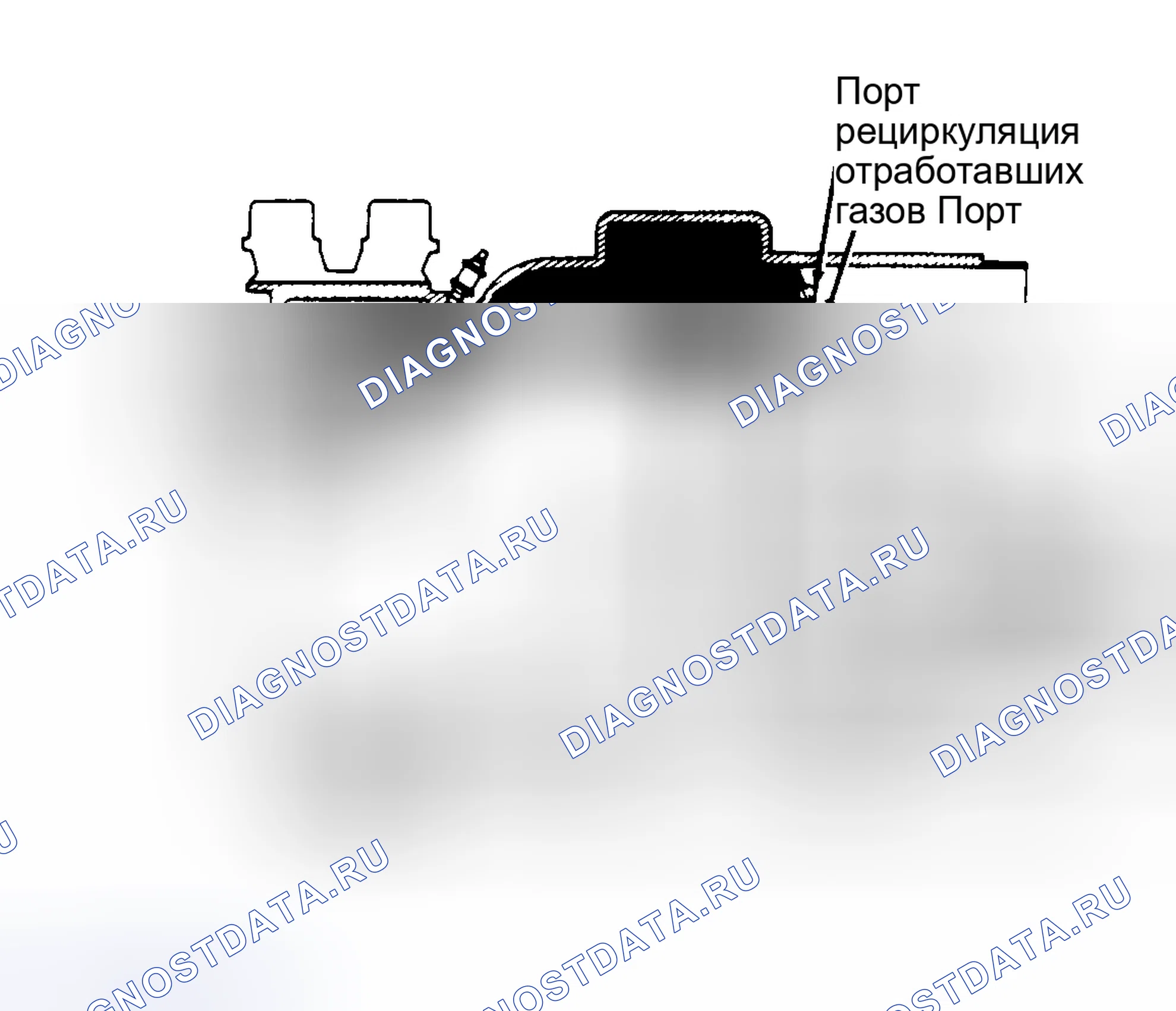 Рис. 29: СИСТЕМА РЕЦИРКУЛЯЦИИ ОТРАБОТАВШИХ ГАЗОВ (рециркуляция отработавших газов). Toyota Camry V30