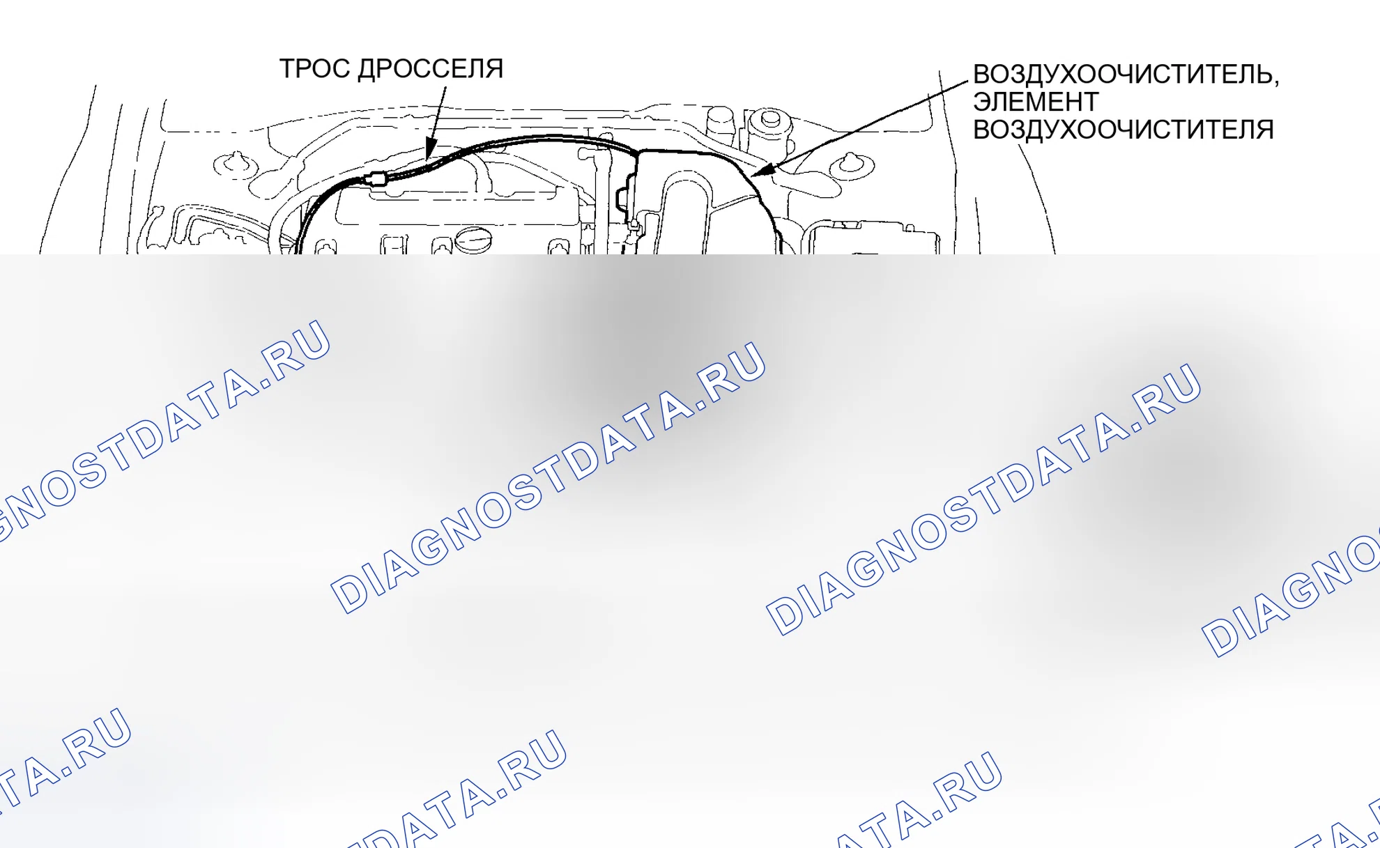 Рис. 416: K20A2/K20Z1 двигатели. Acura RSX I