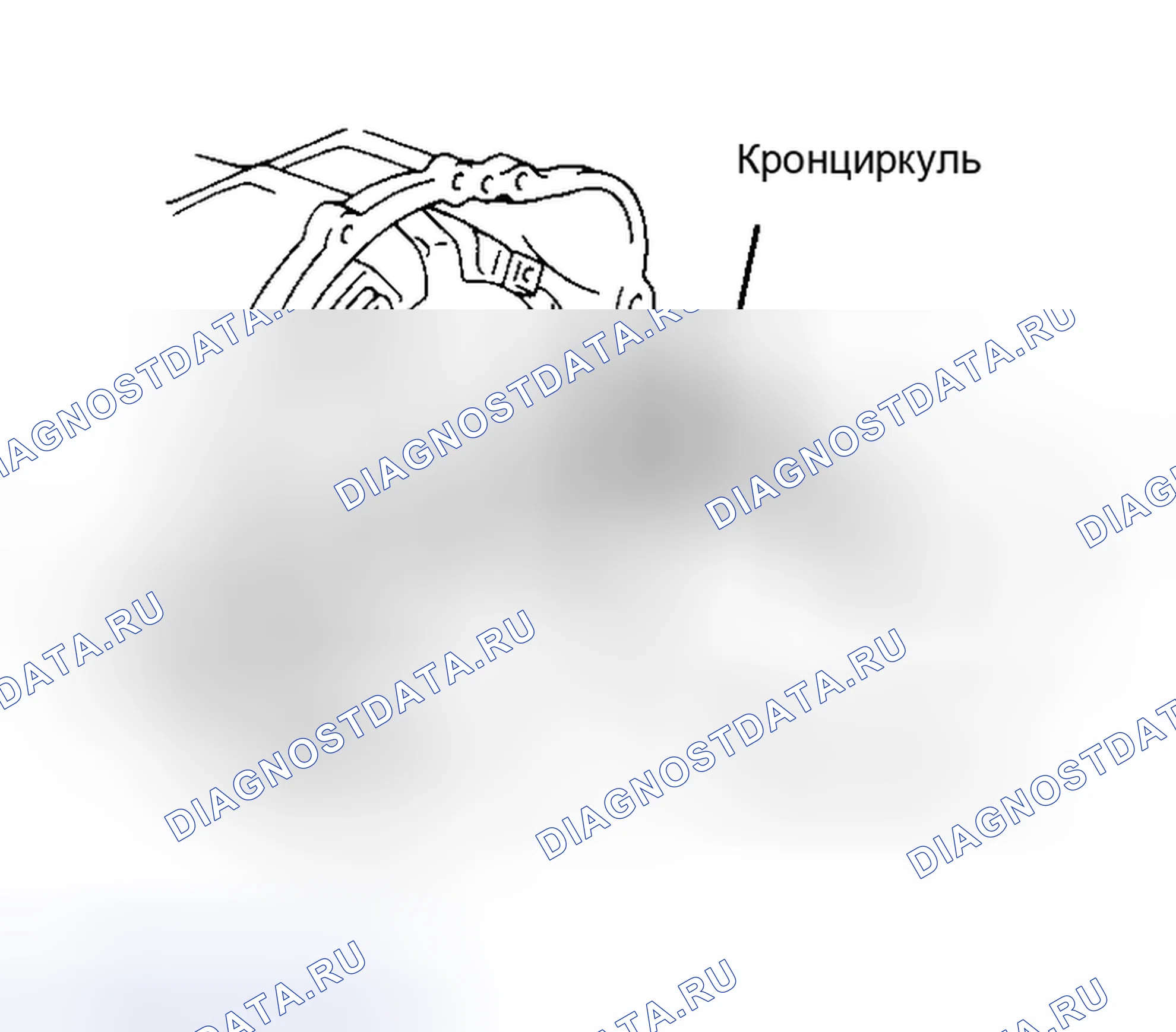 Рис. 81. Toyota Corolla VII