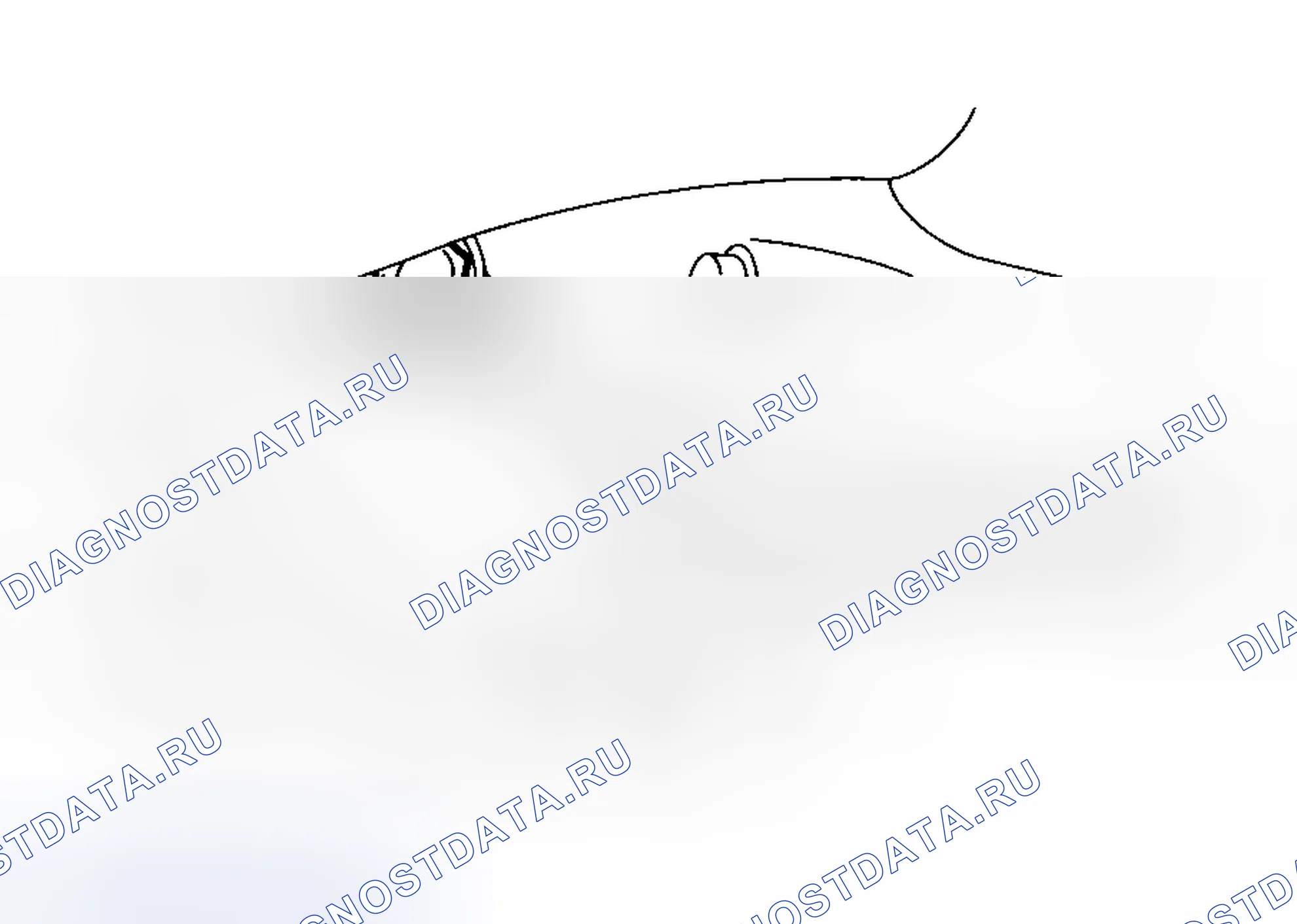 Рис. 337. Honda WR-V I