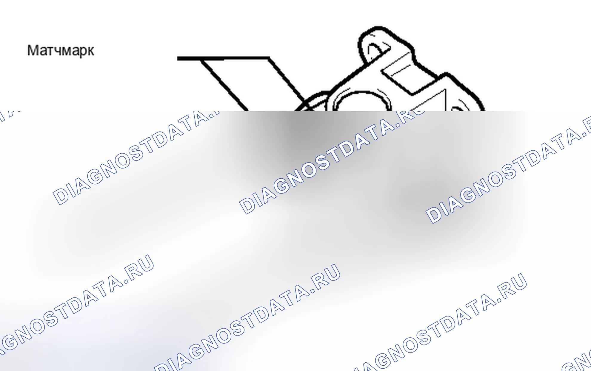 Рис. 49. Haval Raptor I