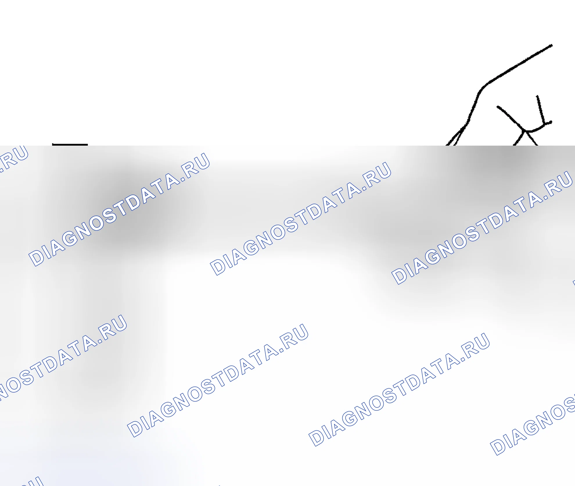 Рис. 156. Hyundai Tiburon II рестайлинг