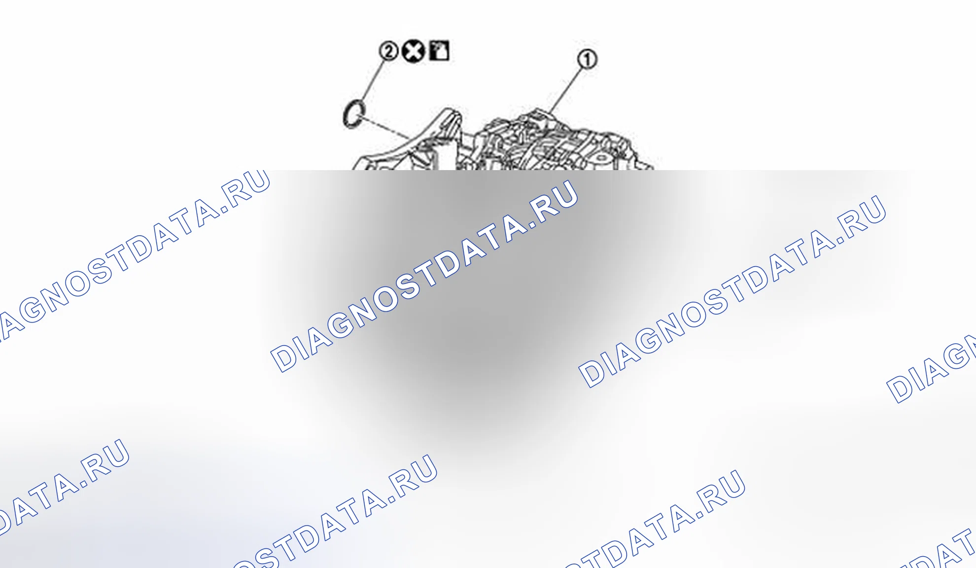 Рис. 130: Разобранное изображение дифференциального бокового масляного уплотнения (2WD). Honda Saber I
