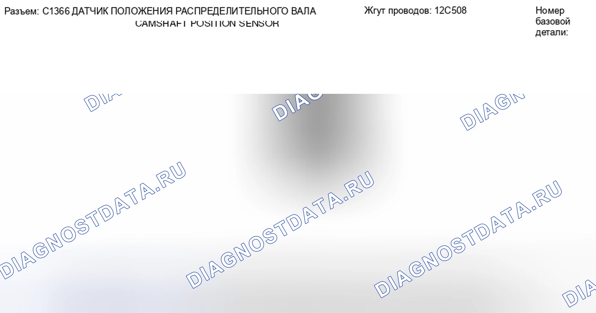 Рис. 217: Вид с торца разъема датчика положения распределительного вала (C1366). Hyundai Lafesta I рестайлинг