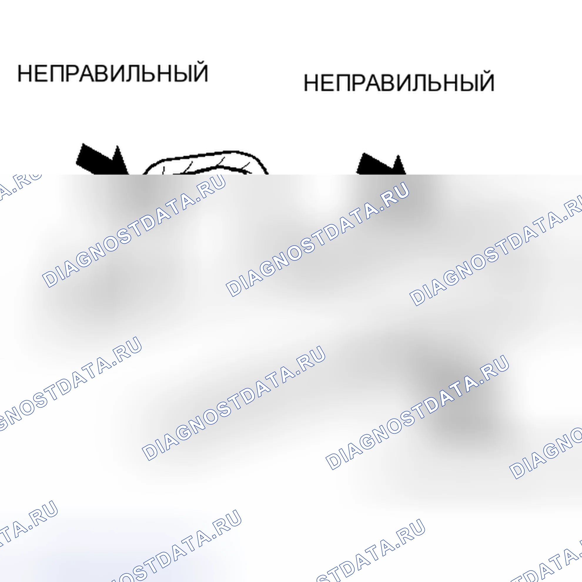 Рис. 50. Haval H4 I