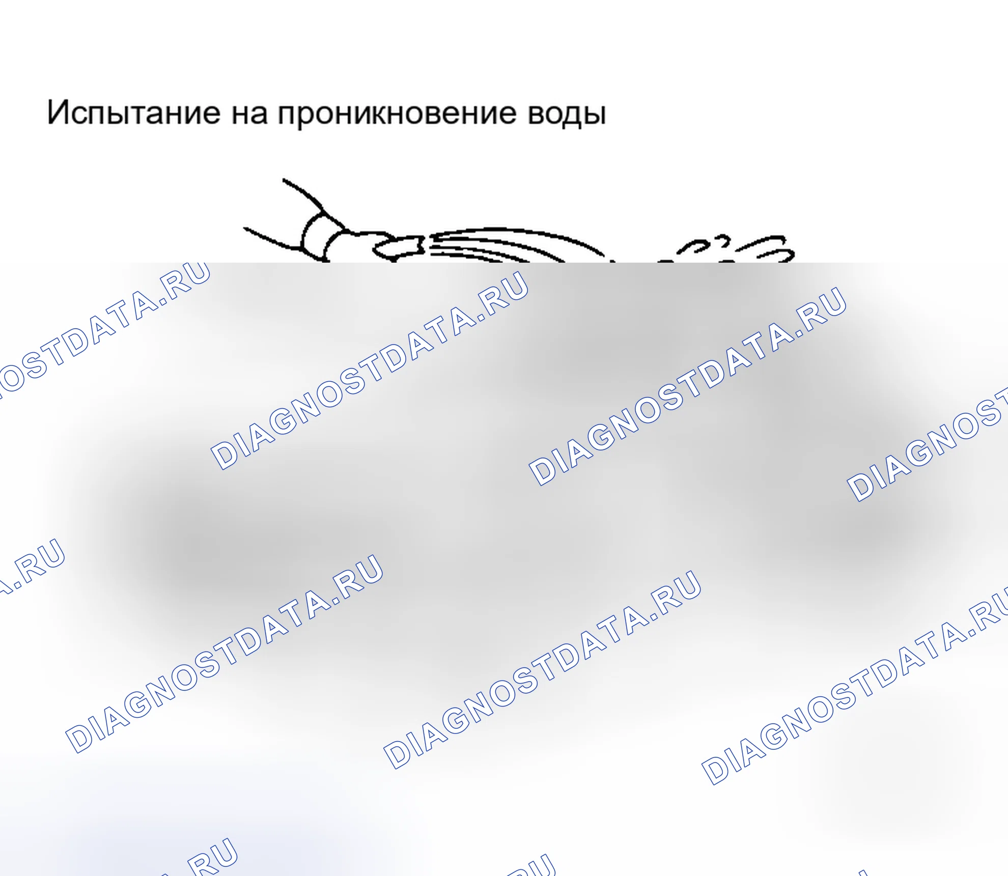 Рис. 54: Проникновение воды. Honda That S I