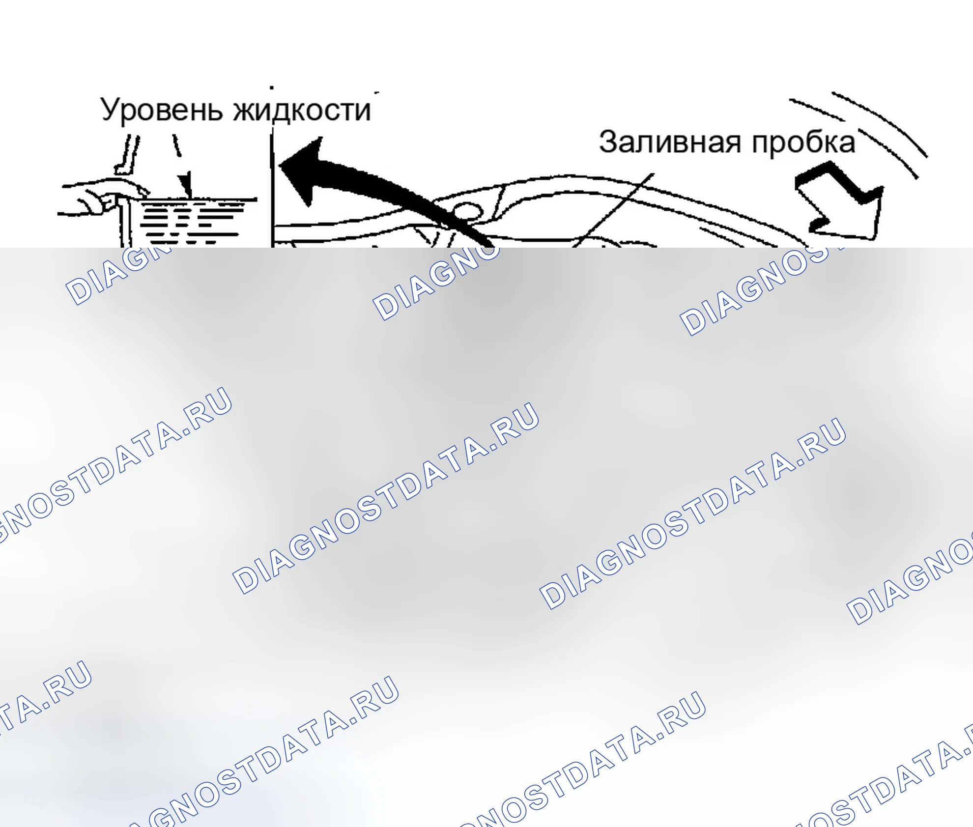 Рис. 10: Утечка жидкости и уровень жидкости. Infiniti FX35 I