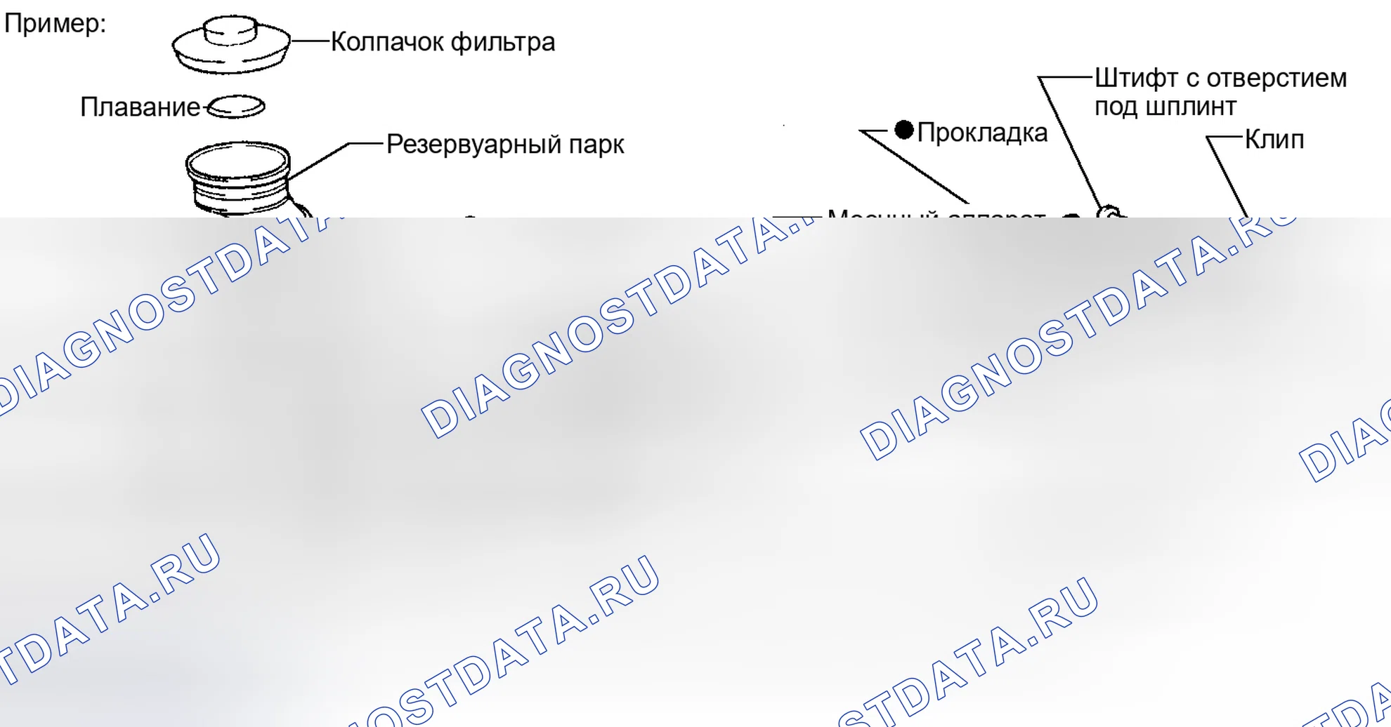 Рис. 1: ОБЩИЕ СВЕДЕНИЯ. Lexus IS F I