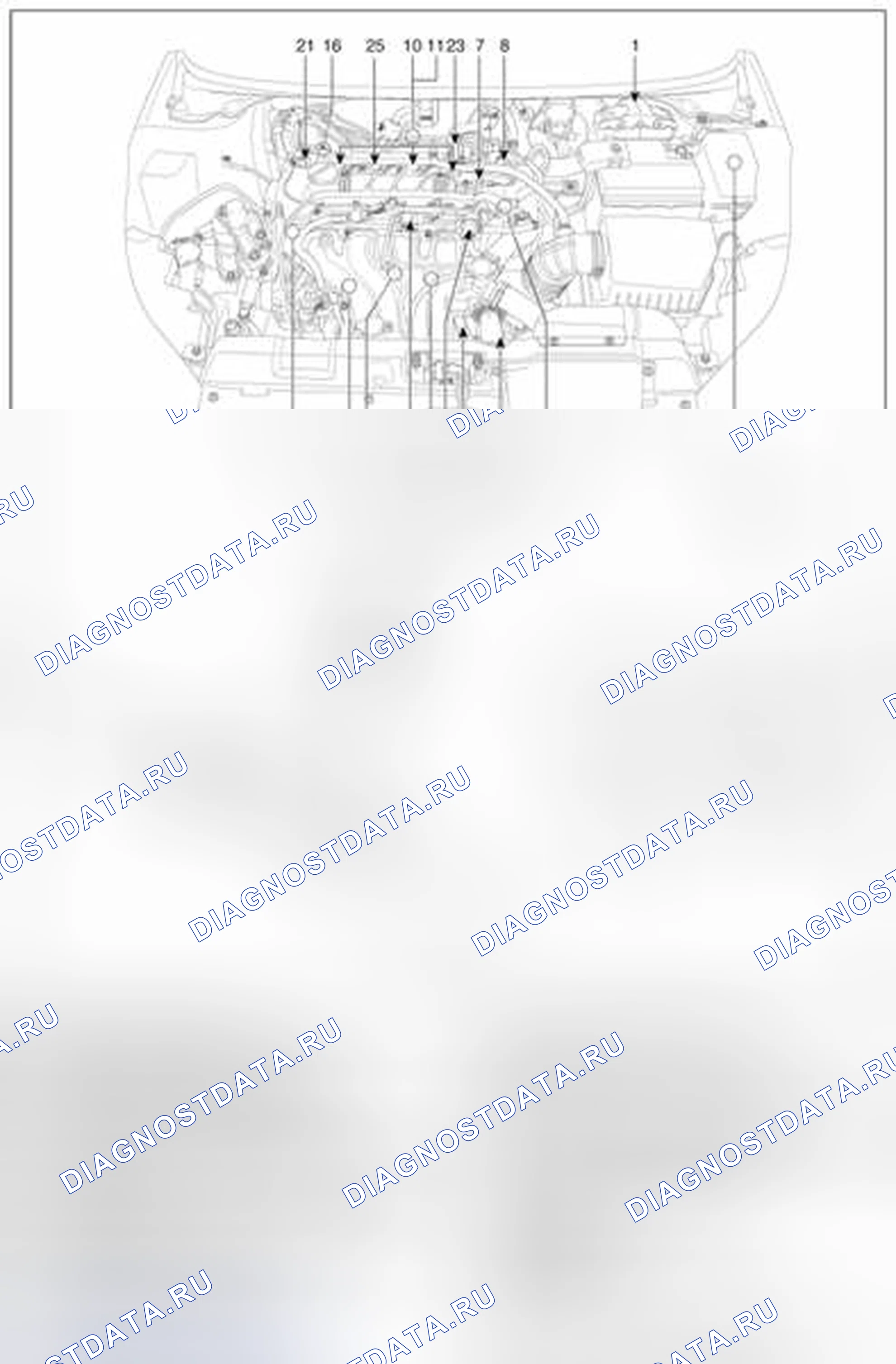 Рис. 137: Расположение компонентов. BMW 6 серия F06/F13/F12
