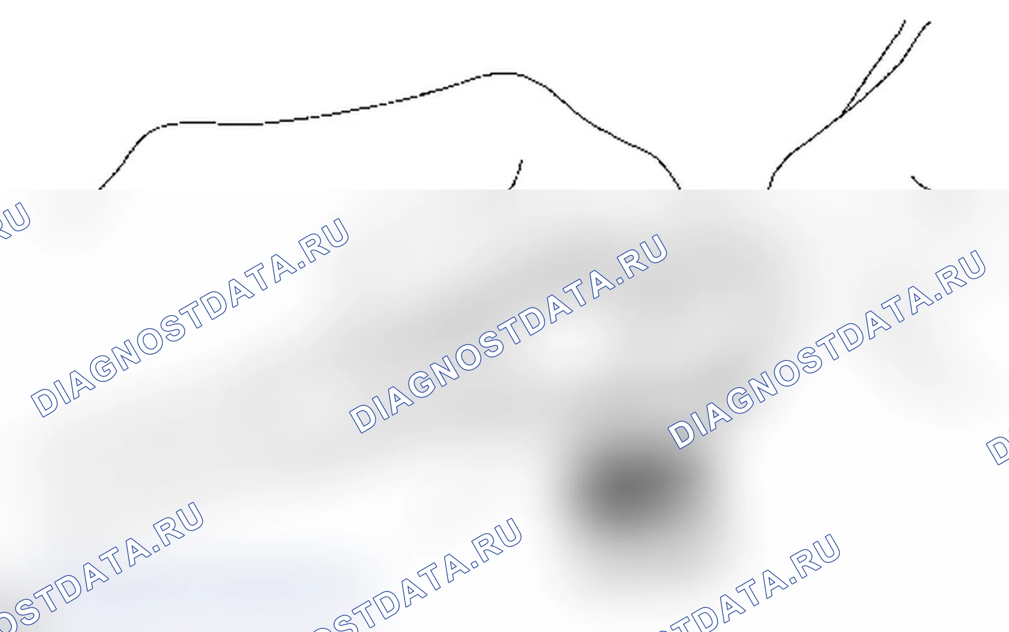 Рис. 200. Lexus IS F I