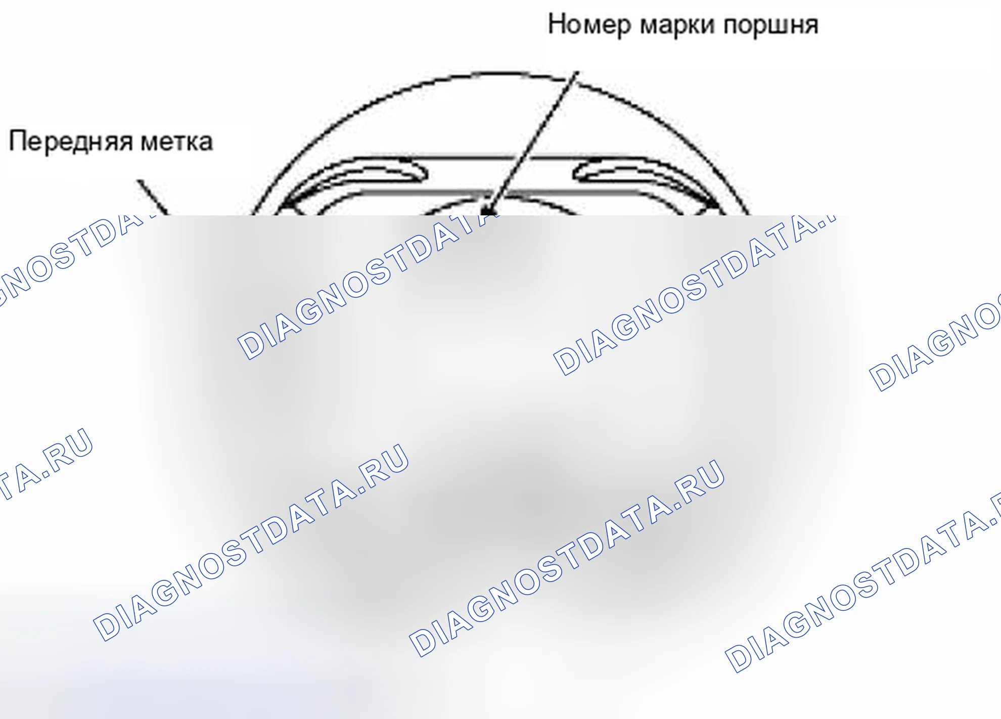 Рис. 438. Suzuki Equator I