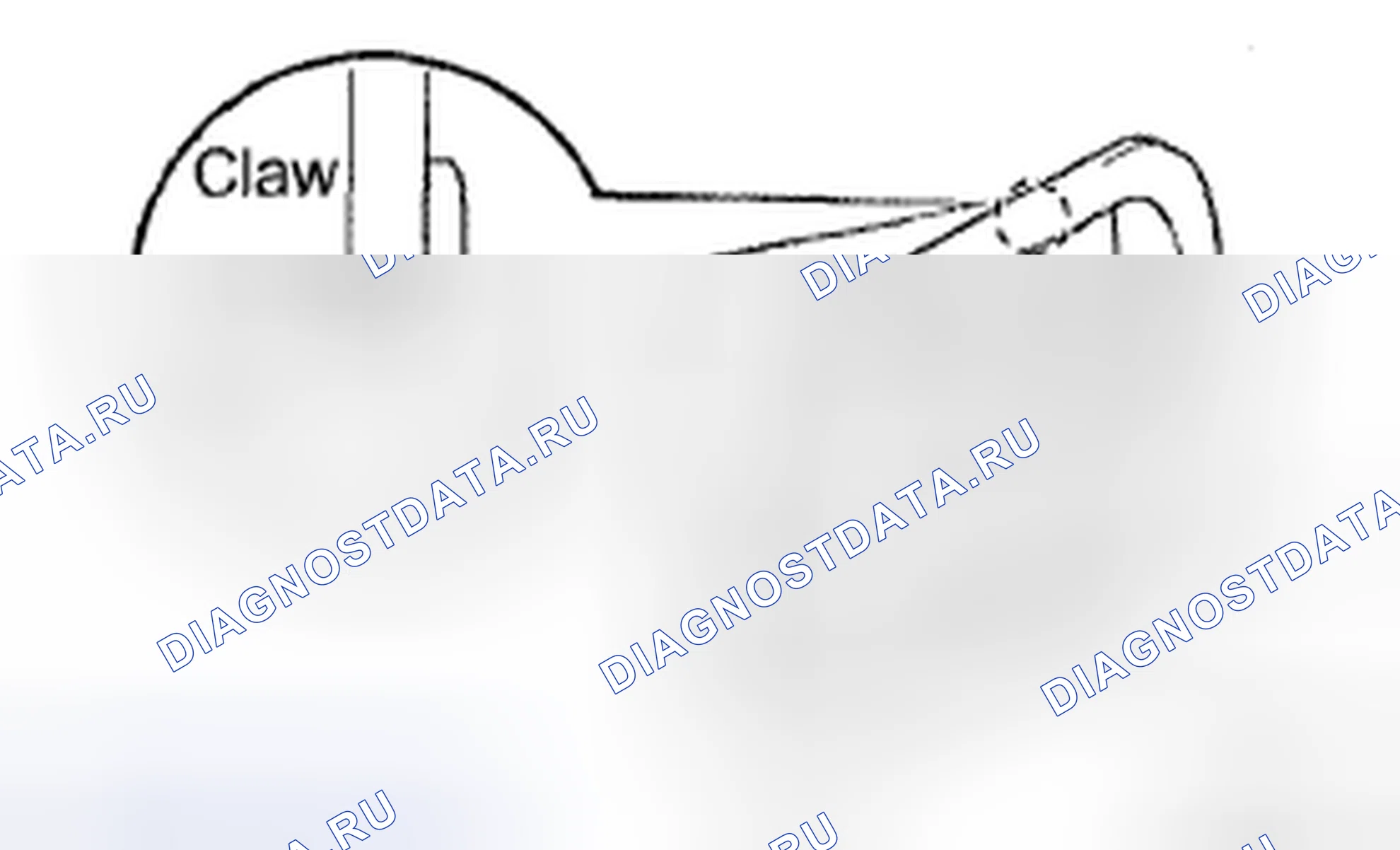 Рис. 249. Honda CR-V VI