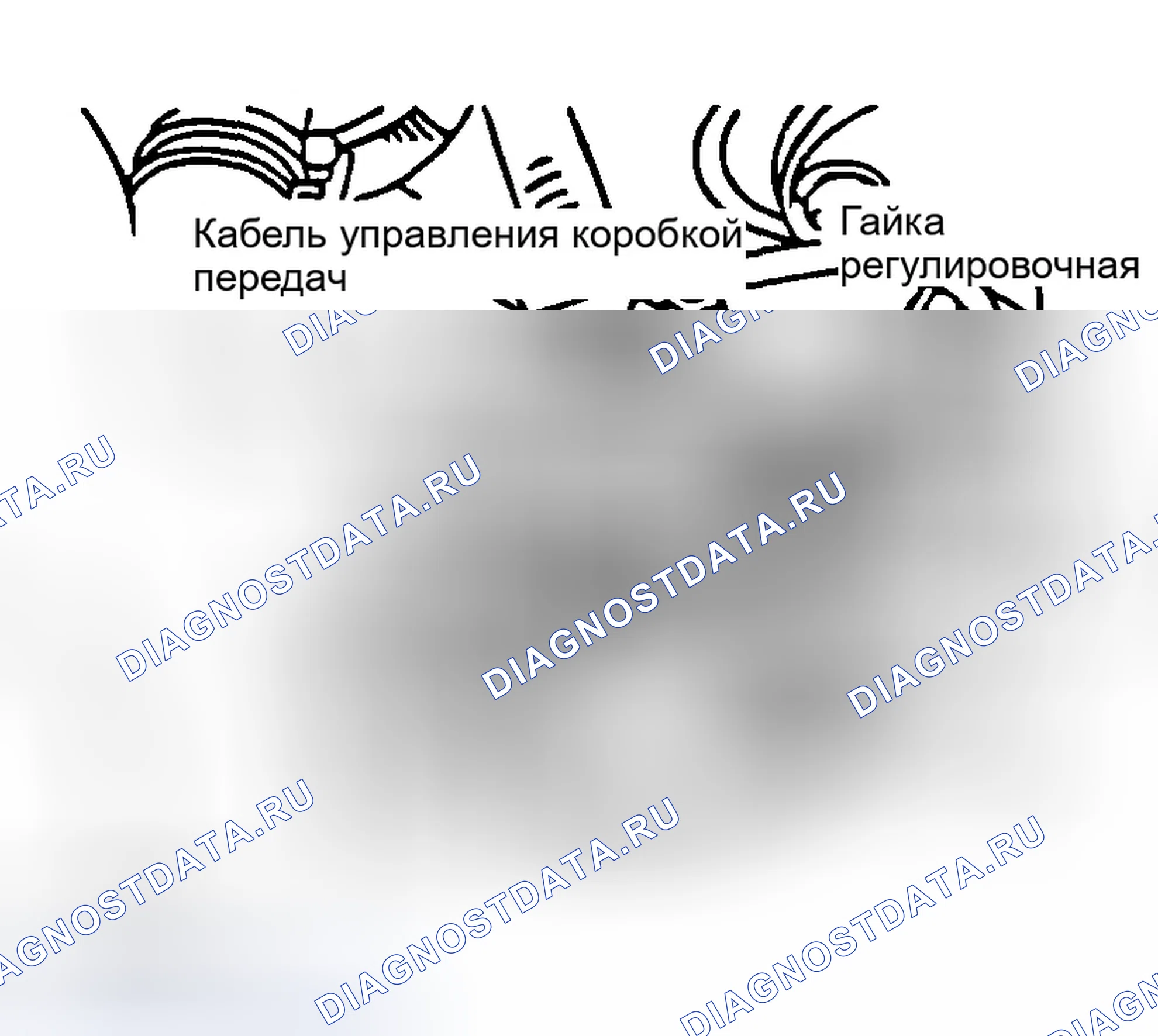 Рис. 44: ПЕРЕКЛЮЧАТЕЛЬ ДИАПАЗОНА трансмиссия И РЕГУЛИРОВКА ТРОСА УПРАВЛЕНИЯ. Hyundai Tiburon II
