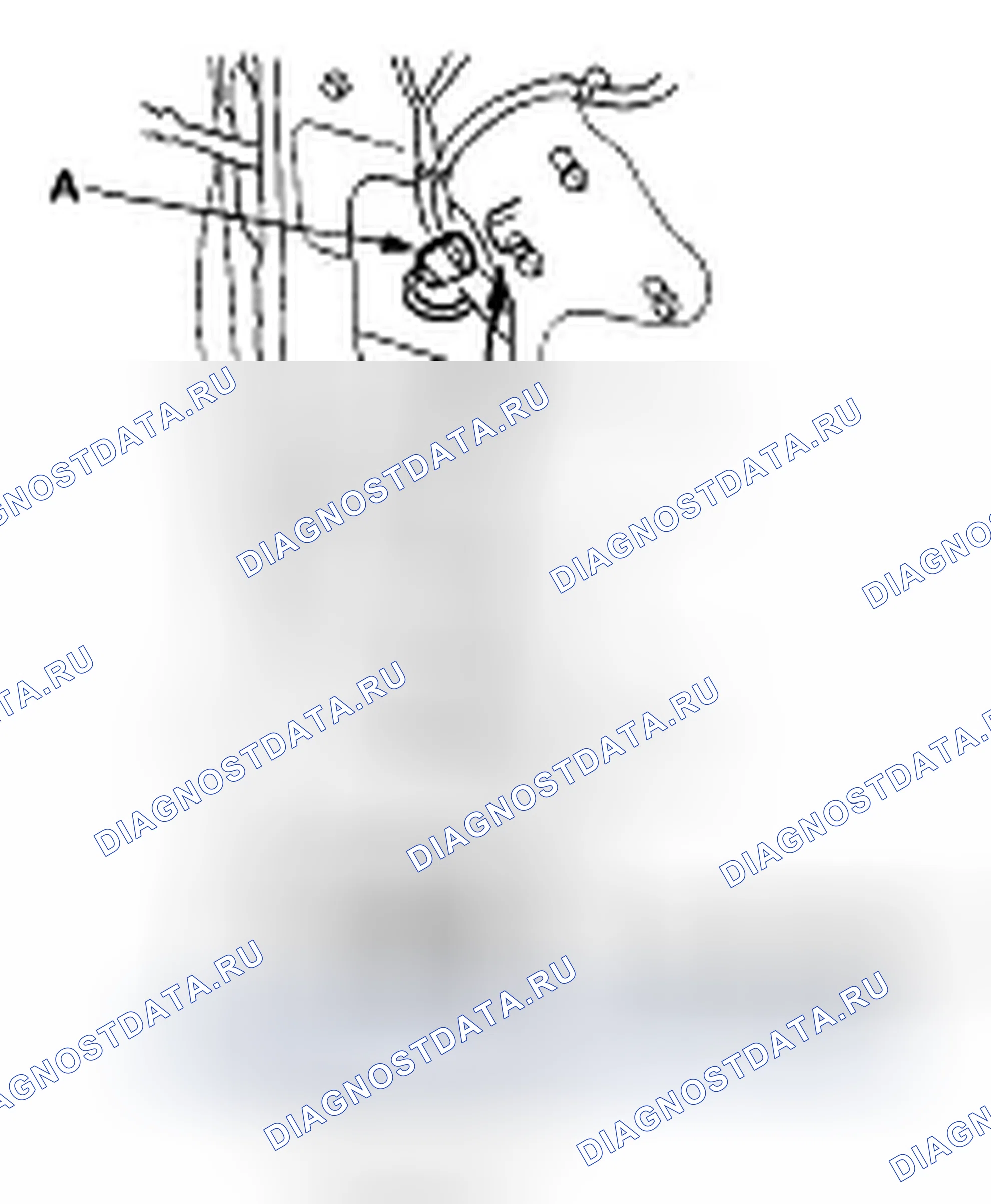 Рис. 6: Испытание двигателя стеклоподъемника пассажира. Honda Odyssey IV