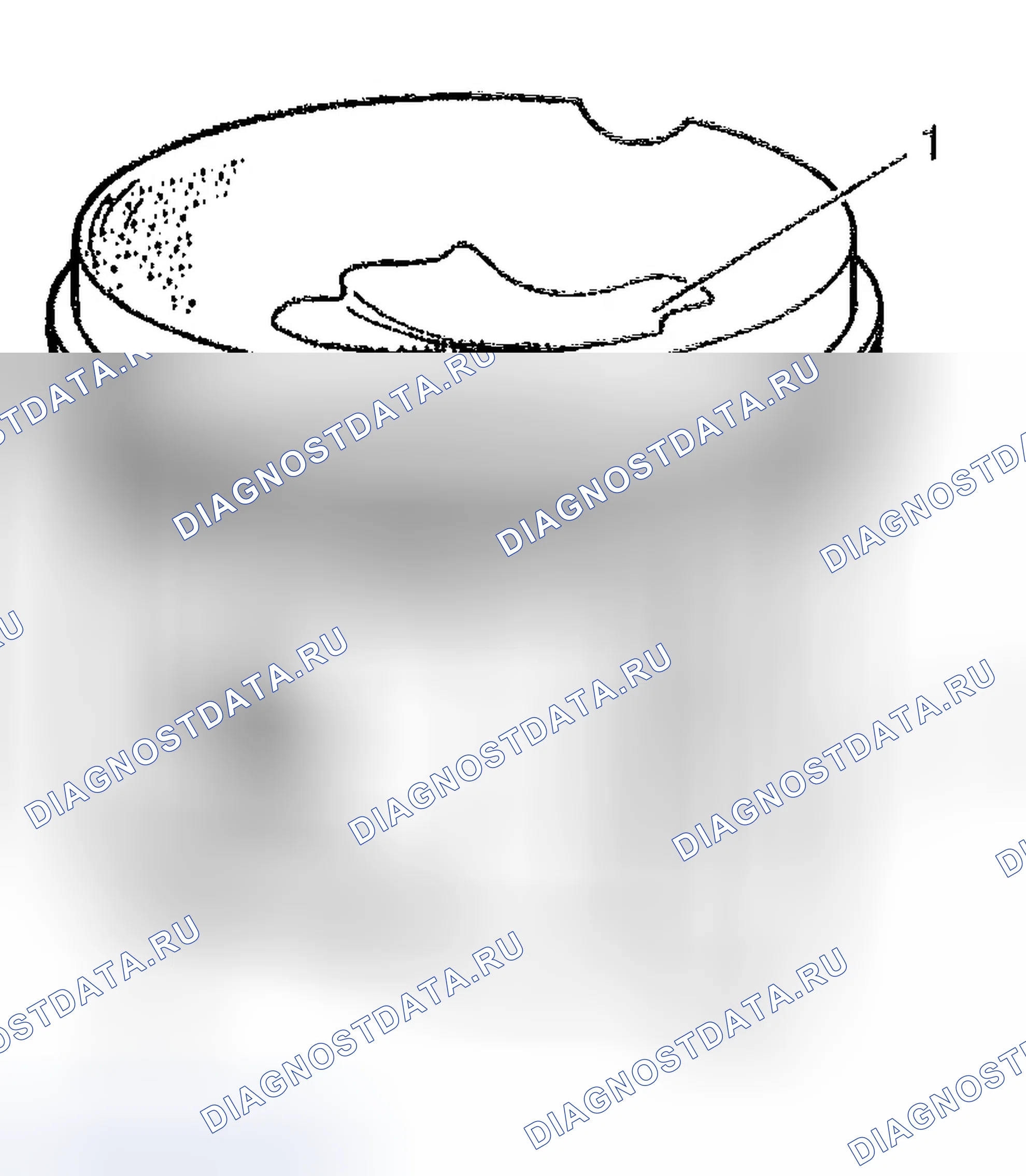 Рис. 693. Chevrolet TrailBlazer I