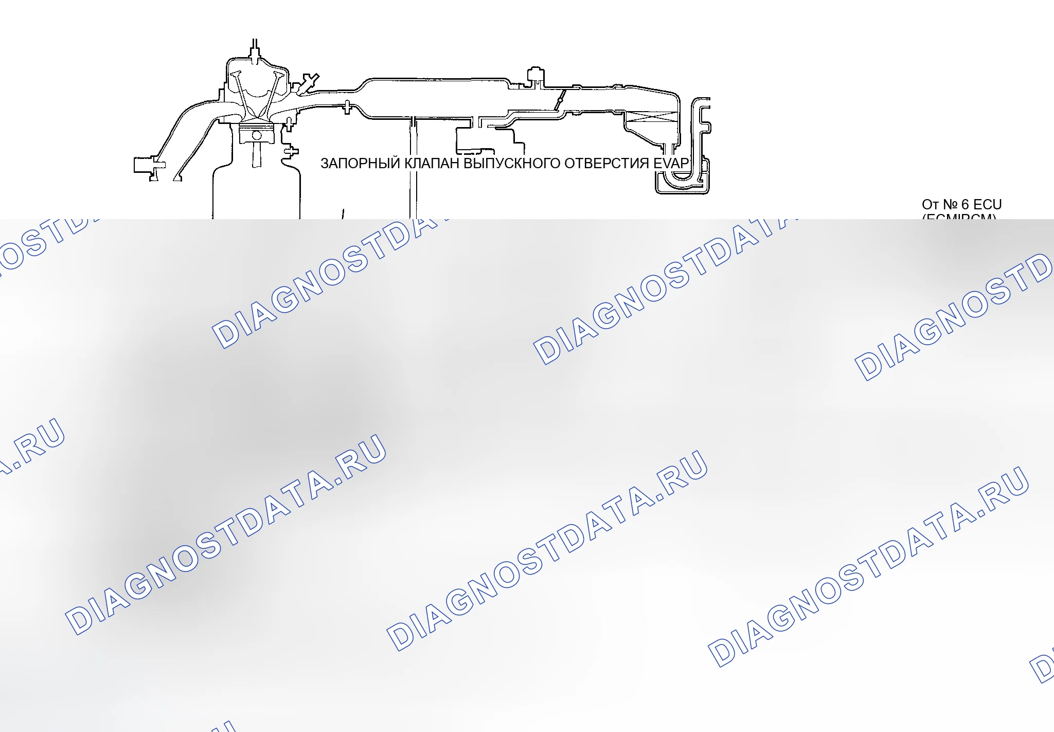 Рис. 50: Схема регулирования выбросов в результате испарения (EVAP). Honda Accord VI