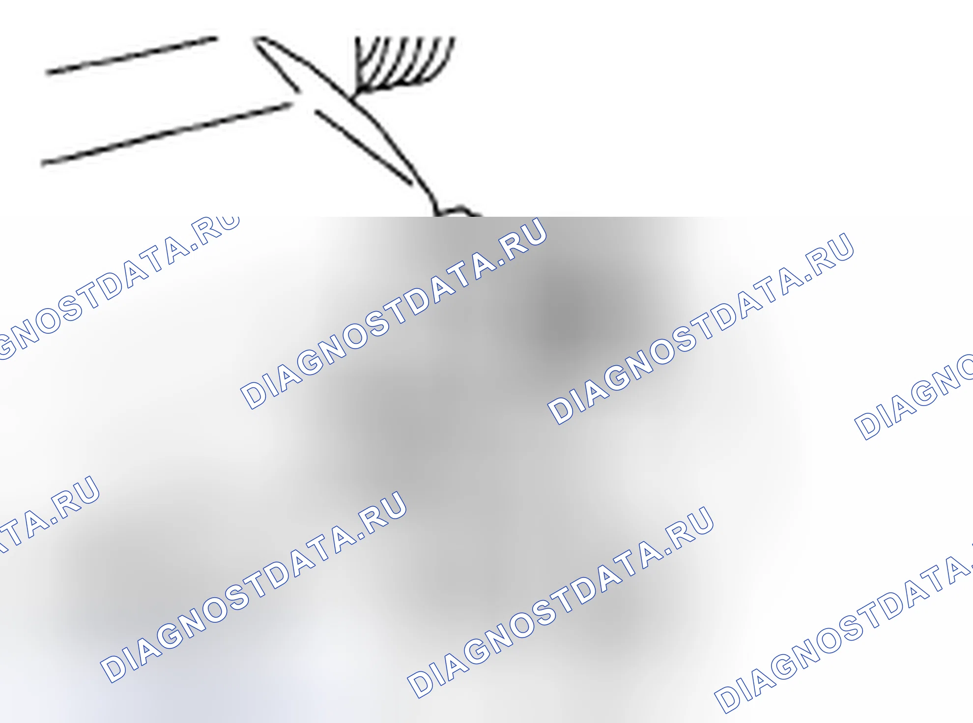 Рис. 538. Subaru Legacy BM/BR