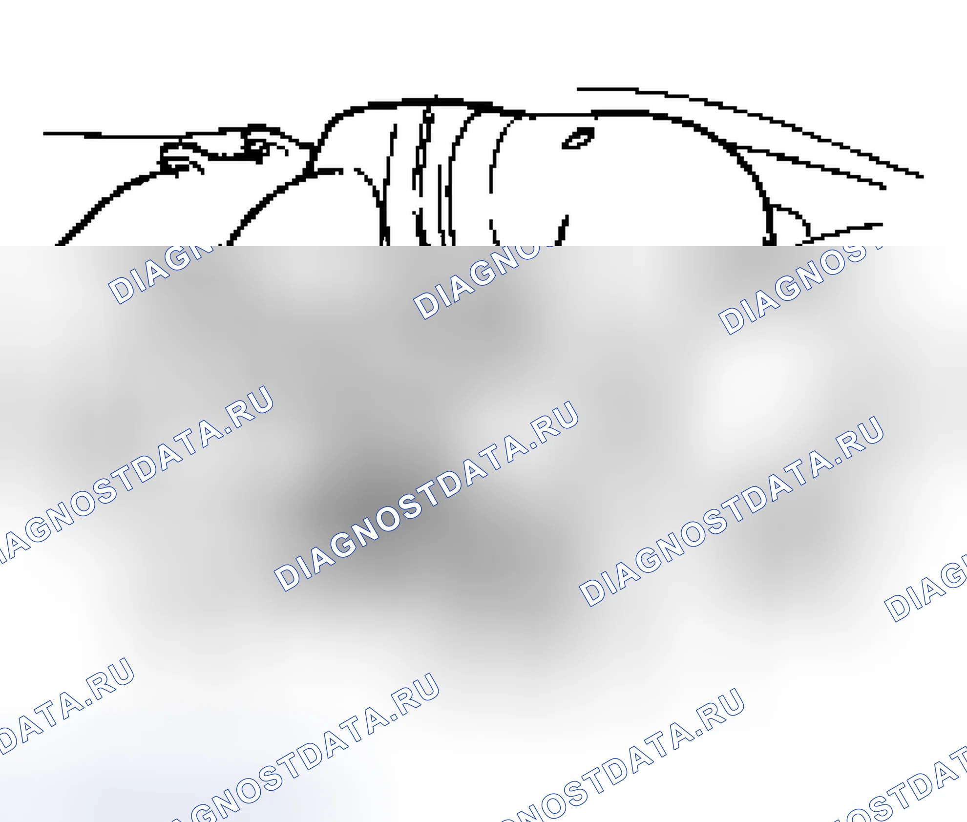 Рис. 428. Jaguar XJR III