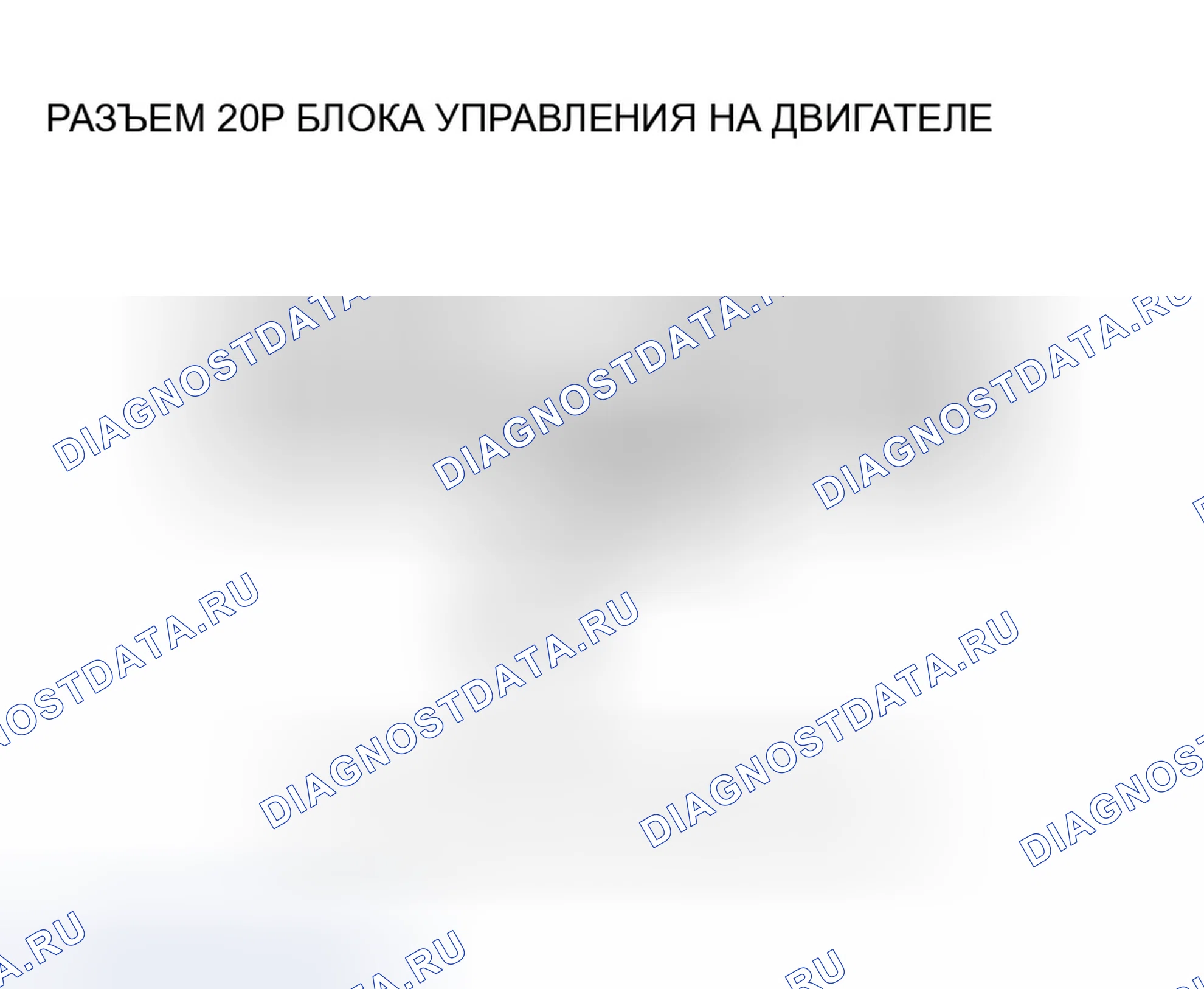 Рис. 587. Honda Accord VII рестайлинг