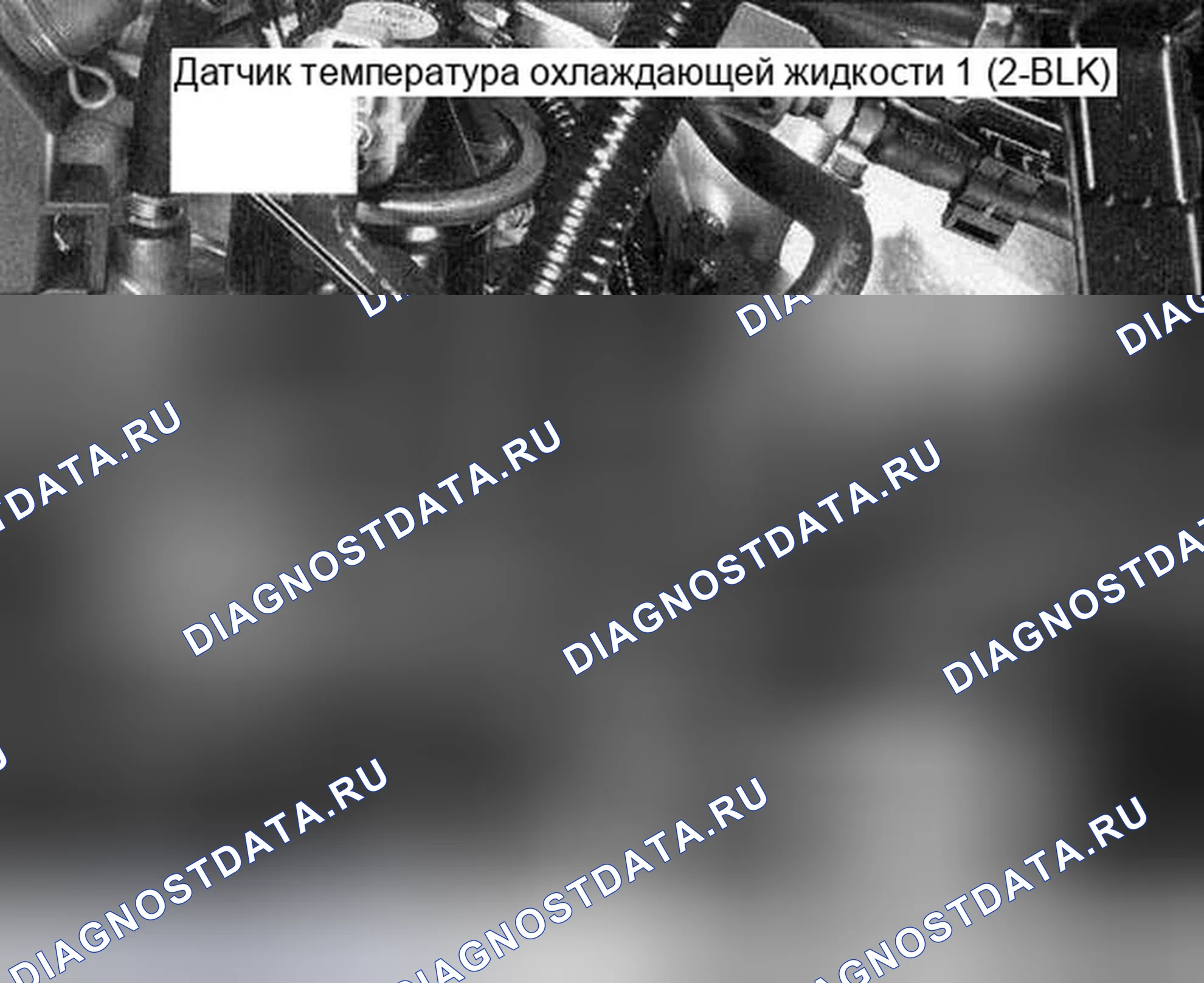 Рис. 314. Honda Accord VII рестайлинг