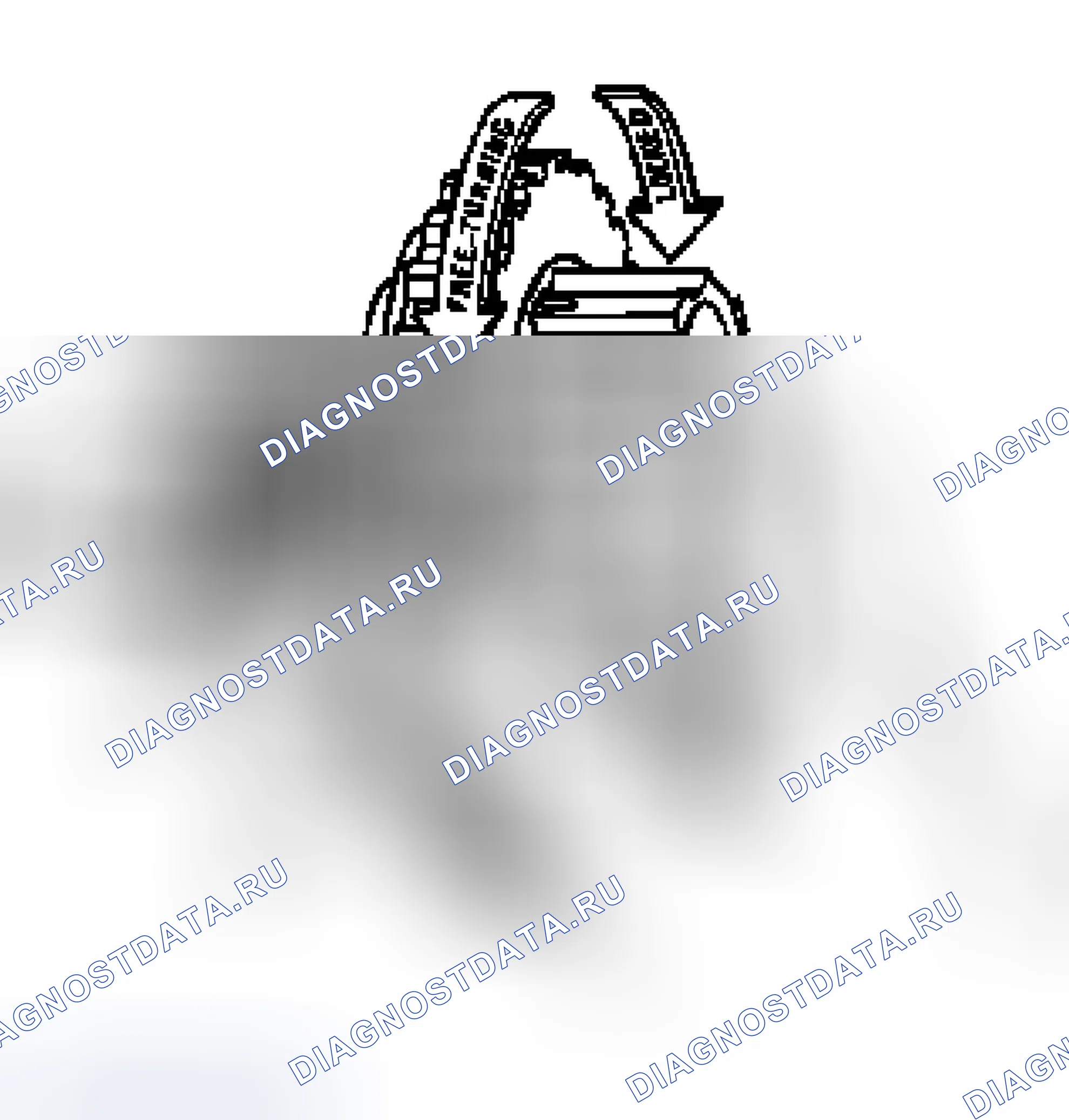 Рис. 96. Isuzu Axiom I