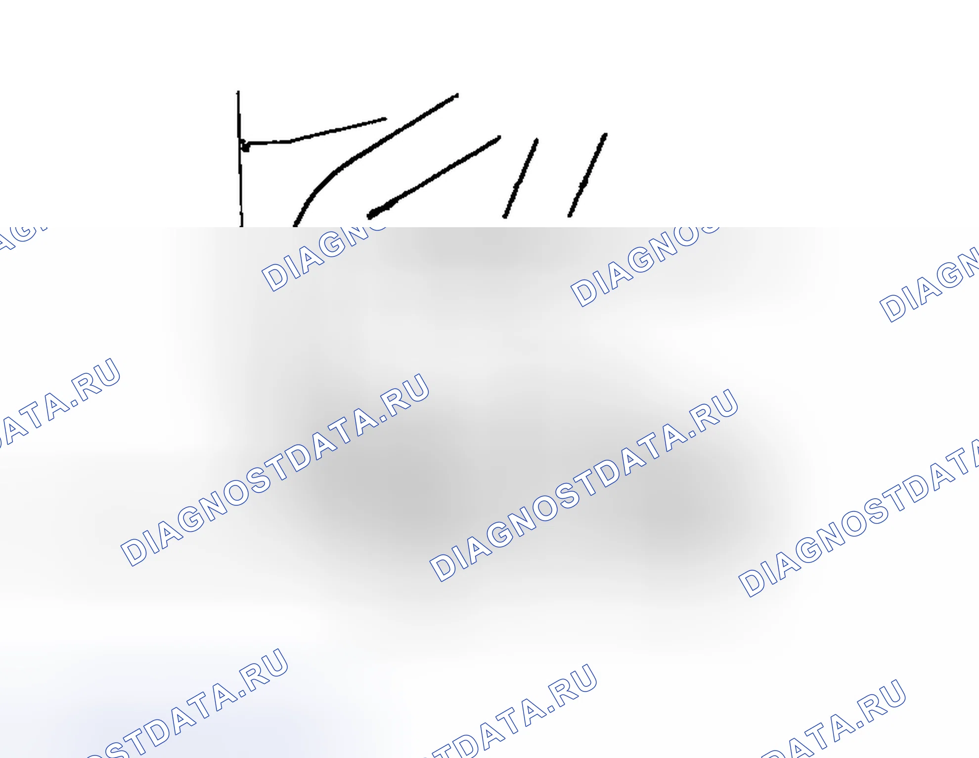 Рис. 29. Haval Menglong I