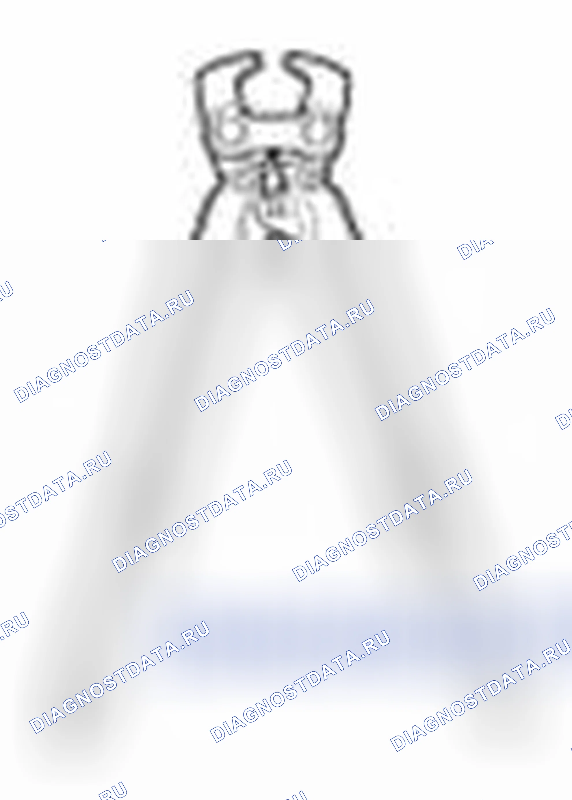 Рис. 3. Haval Beast (Shenshou) I