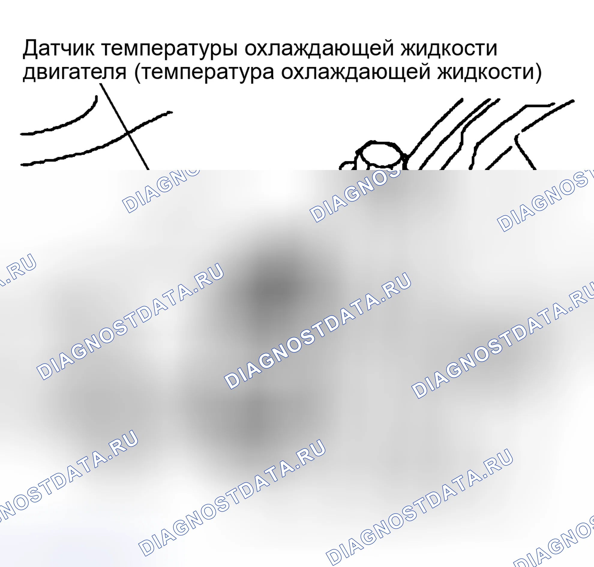 Рис. 44: Датчик температуры охлаждающей жидкости двигателя (температура охлаждающей жидкости). Land Rover Discovery L318