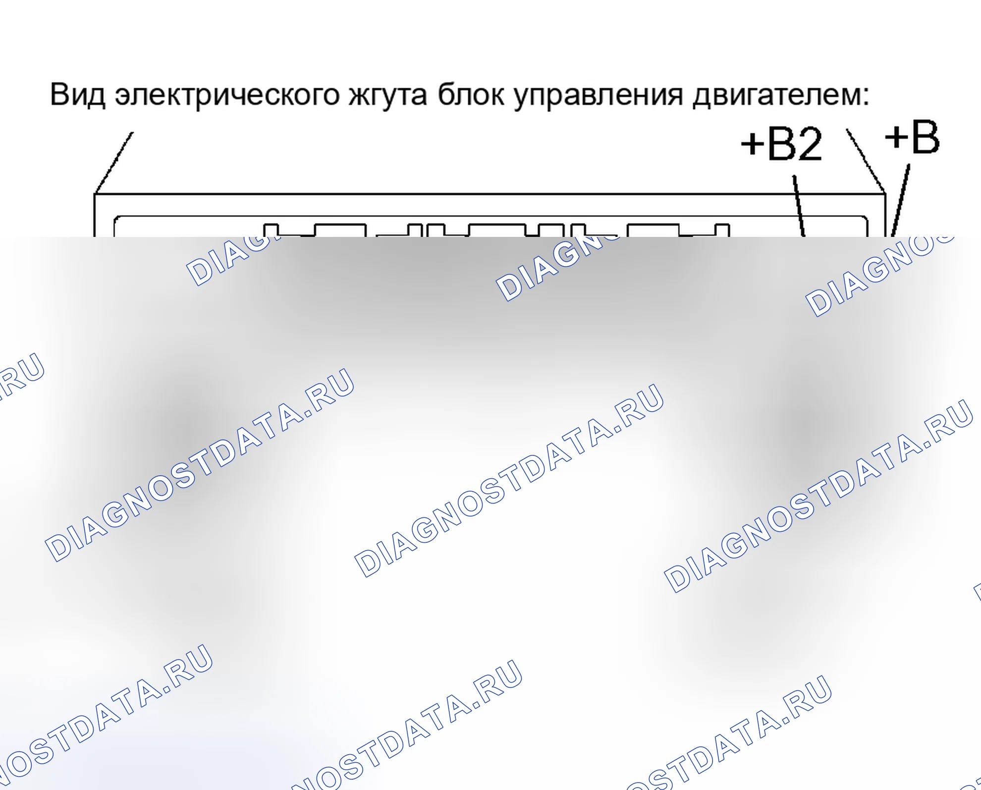 Рис. 70: ПРОЦЕДУРА КОНТРОЛЯ. Toyota Sequoia I рестайлинг