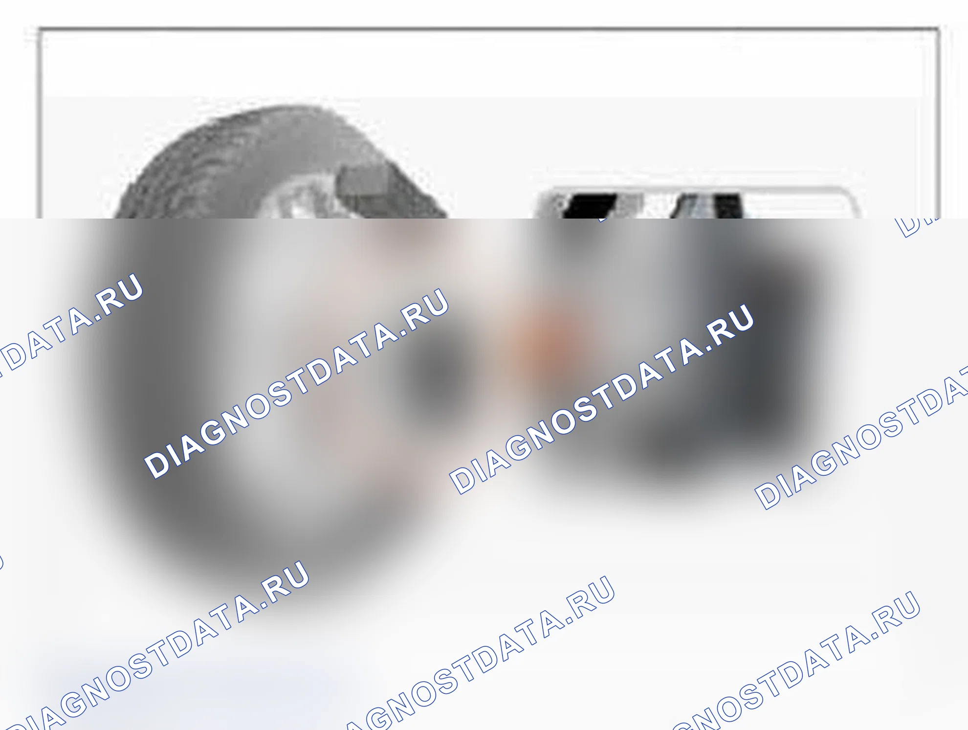Рис. 77: Мониторинг данных GDS. Hyundai Santa Fe III
